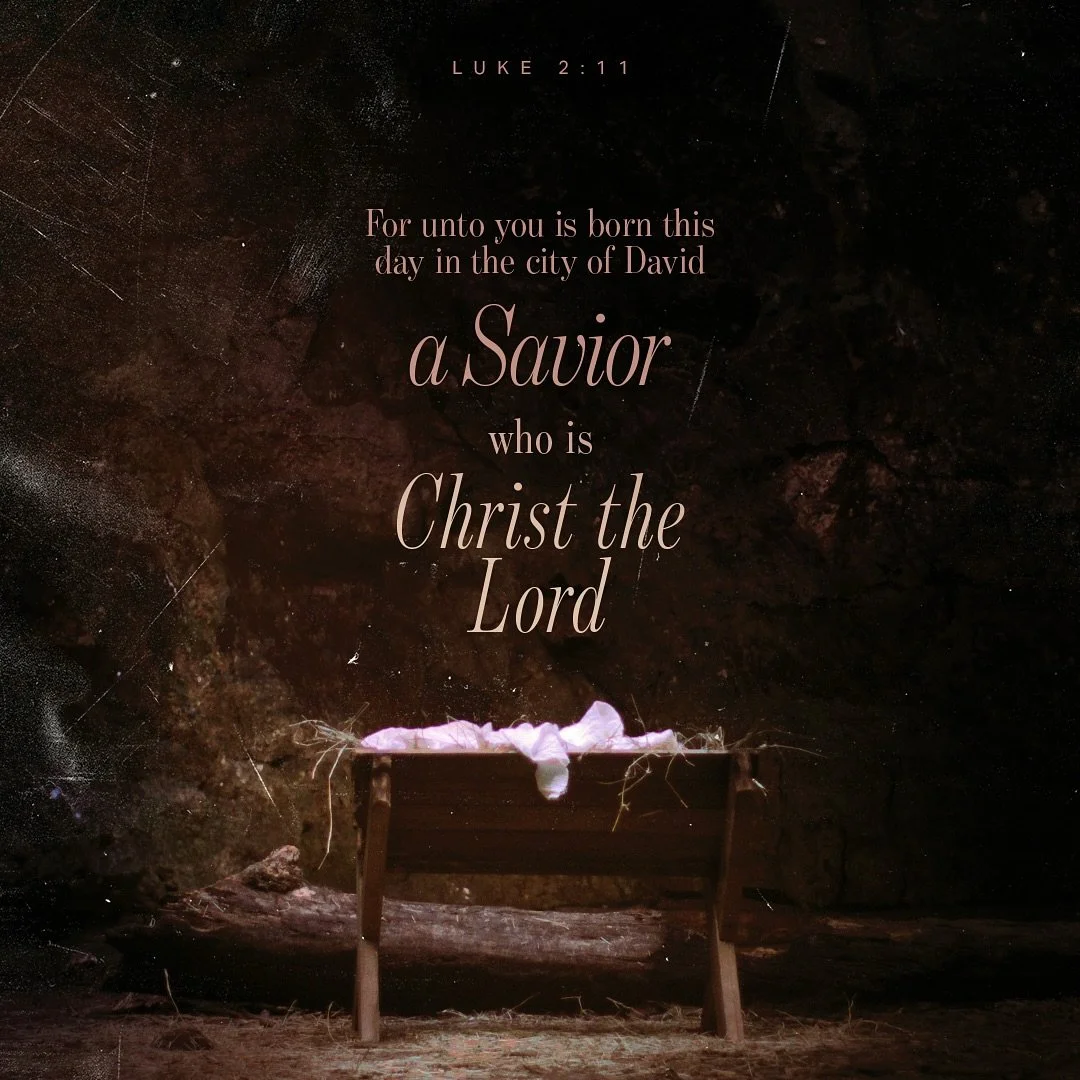 Glory to God&hellip;A Savior has been born!

From all of us at Covenant Rescue Group, we wish you a Merry Christmas! 

#Christmas