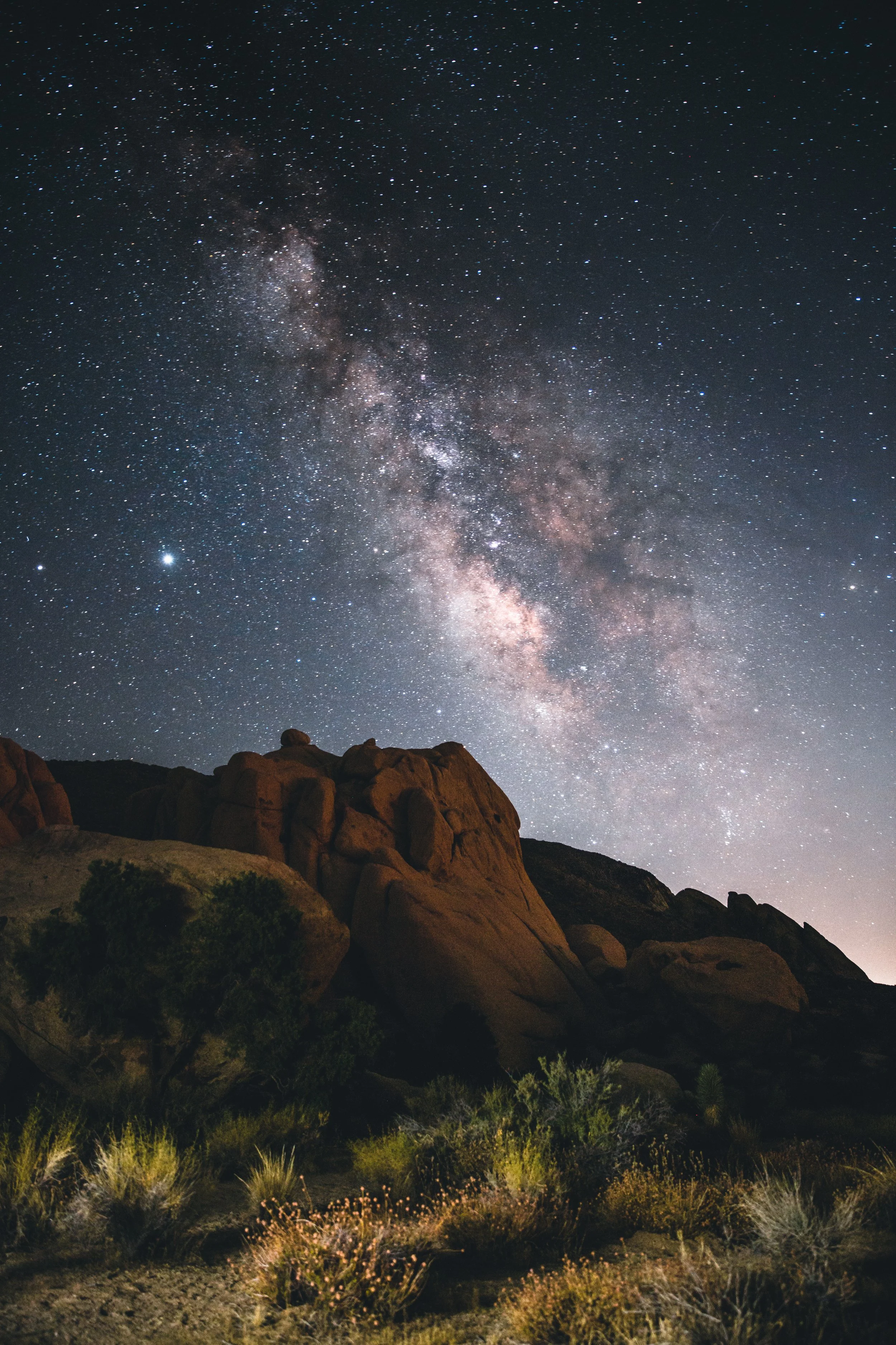 Under a starry night sky with the Milky Way galaxy visible, rocks and desert vegetation in the foreground.