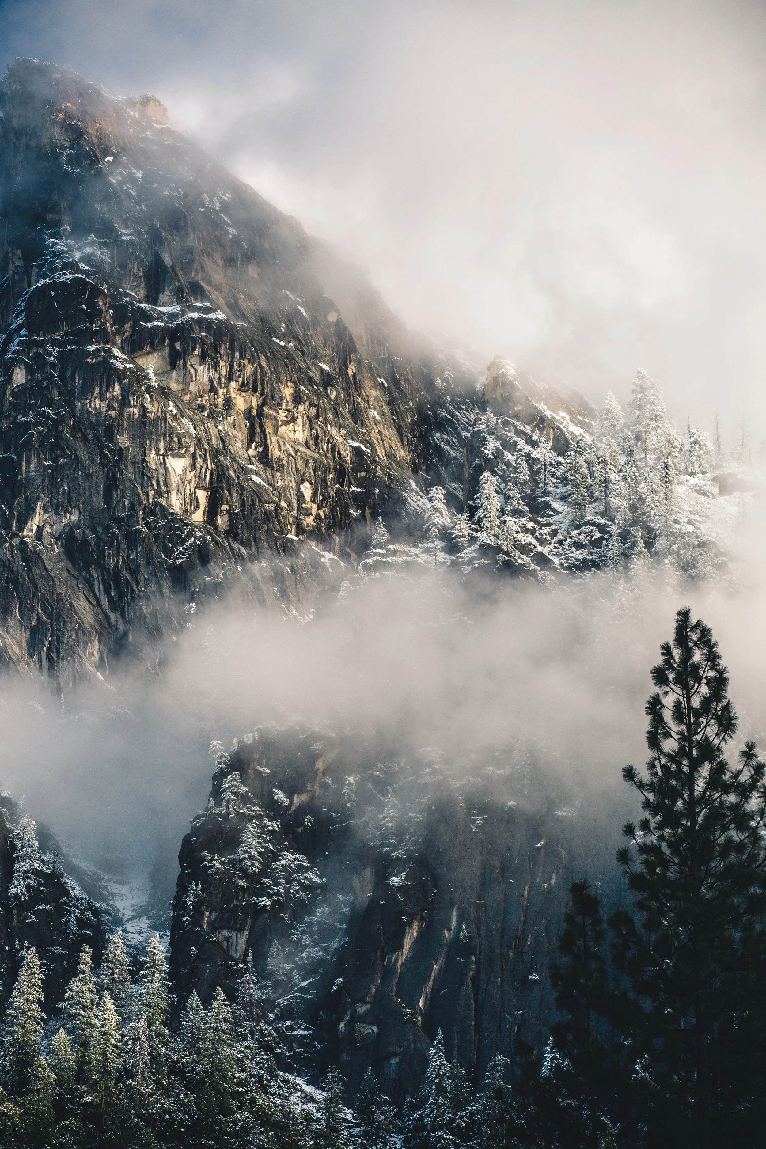 Snow-covered pine trees and rocky mountain cliffs partially obscured by fog and clouds in a mountainous landscape.