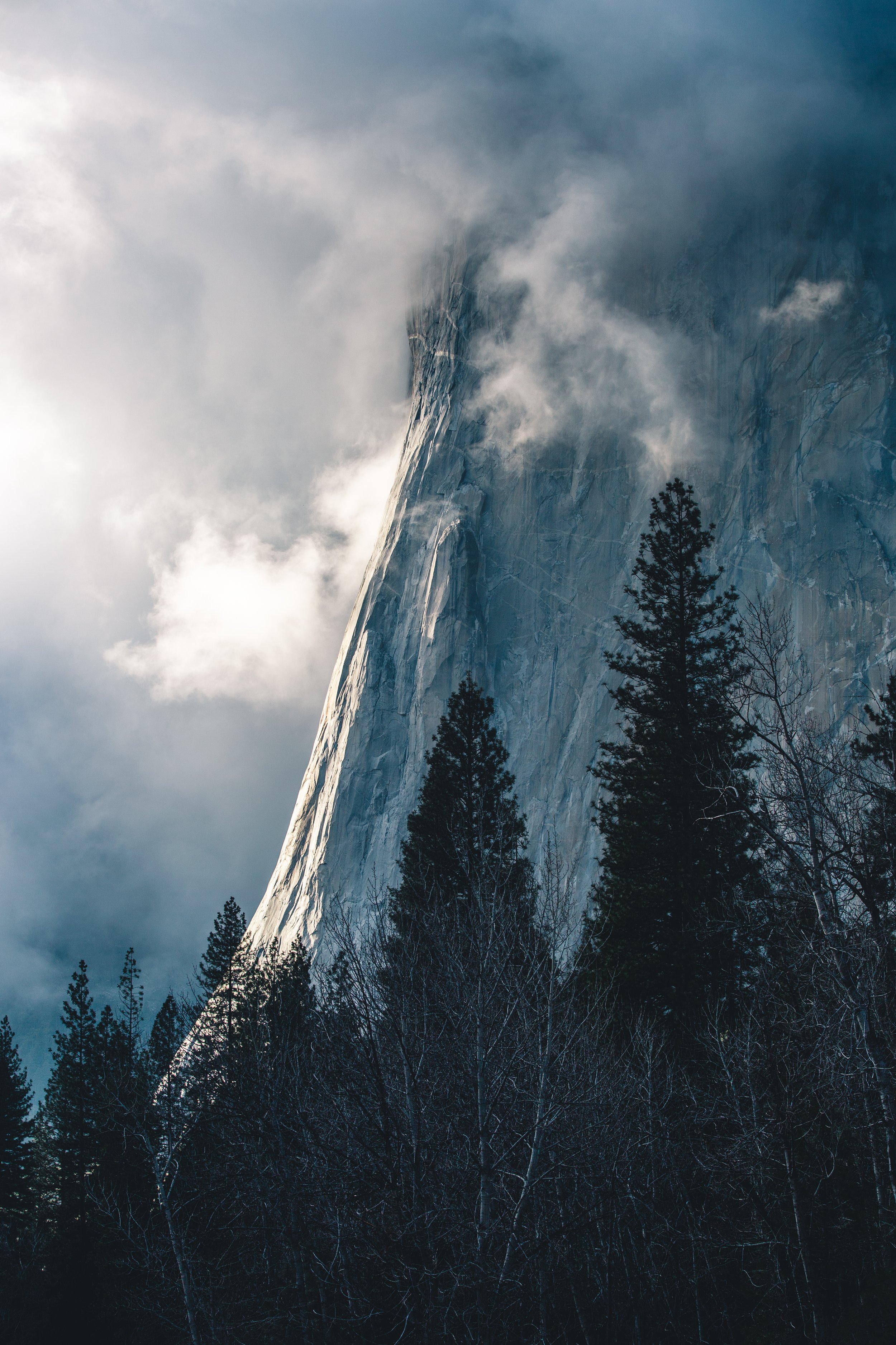 Snow-covered mountain peak with clouds and pine trees in the foreground.