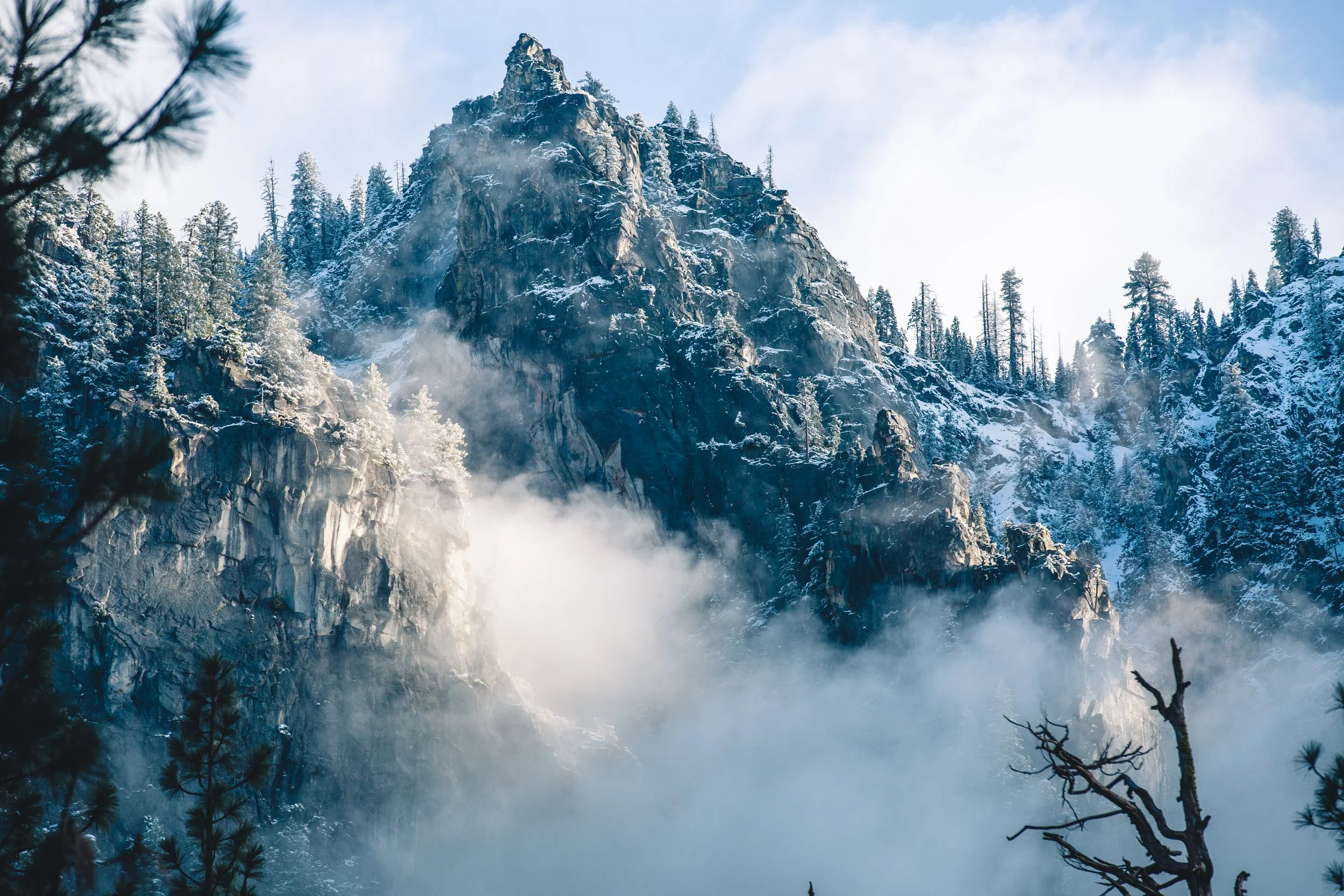 Snow-covered mountain with pine trees and fog in the foreground.
