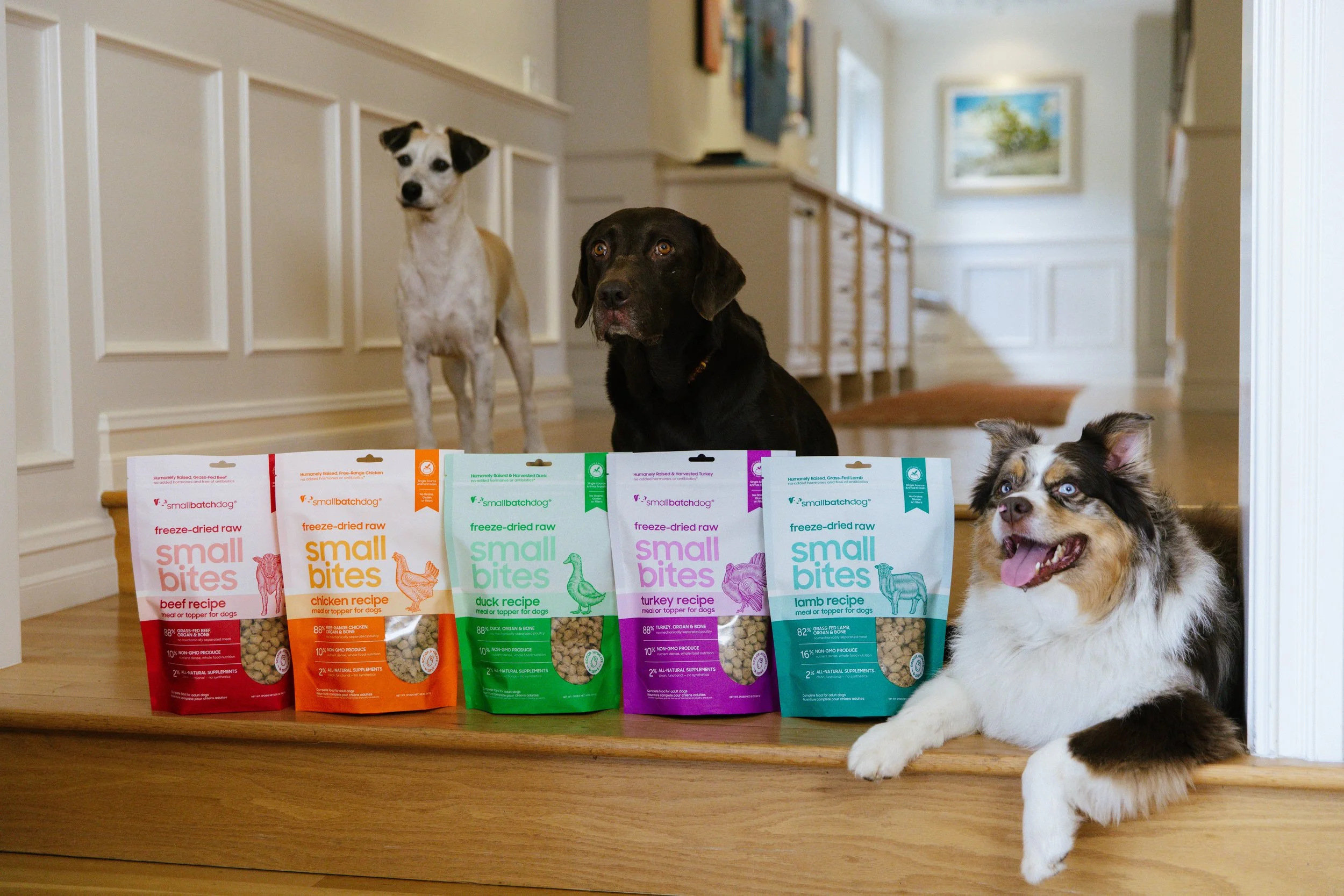 Four bags of Small Bites freeze-dried raw dog treats displayed on a wooden step, with three dogs in a home interior background.