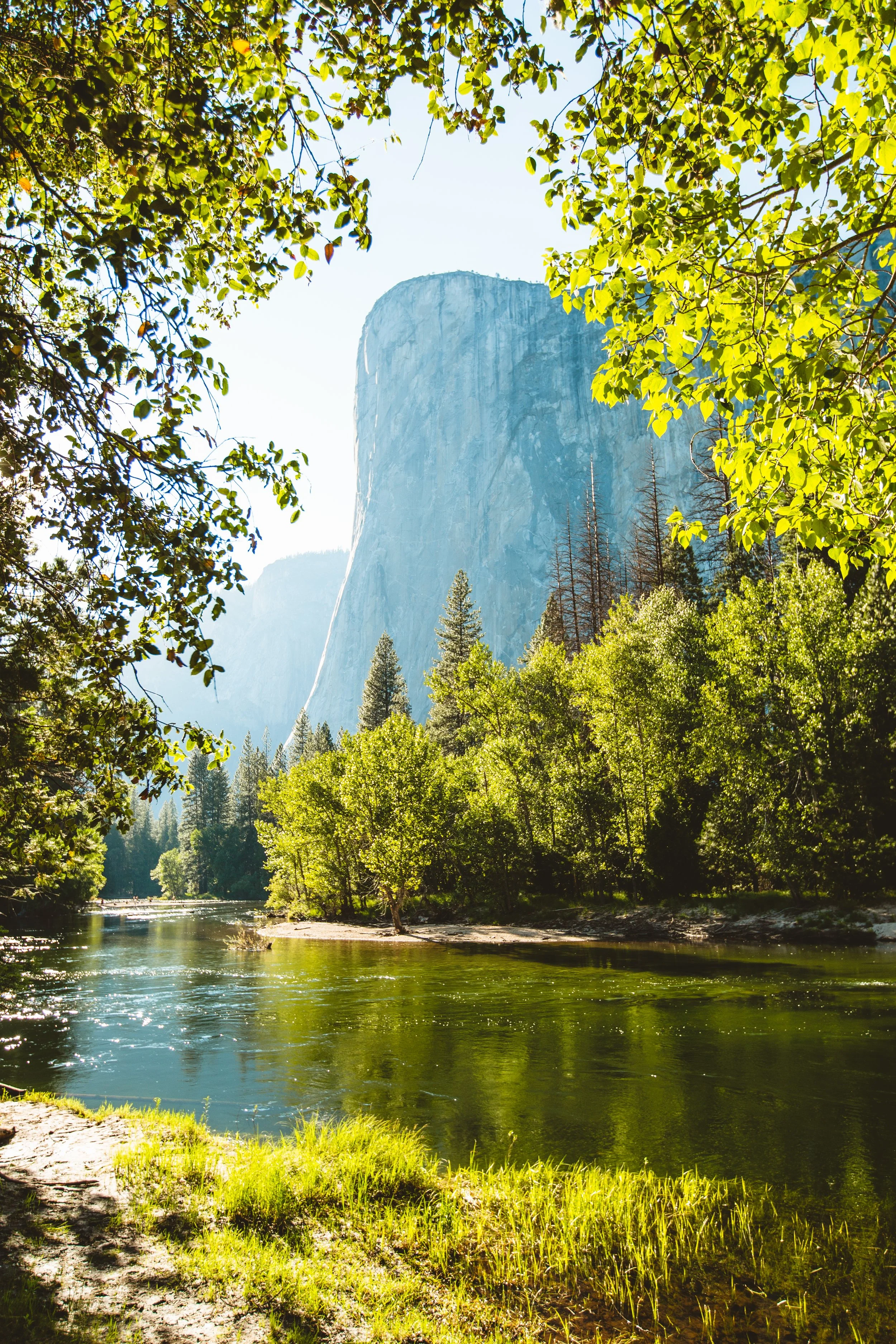 Scenic view of a river surrounded by lush green trees with towering granite cliffs in the background, under a clear blue sky.