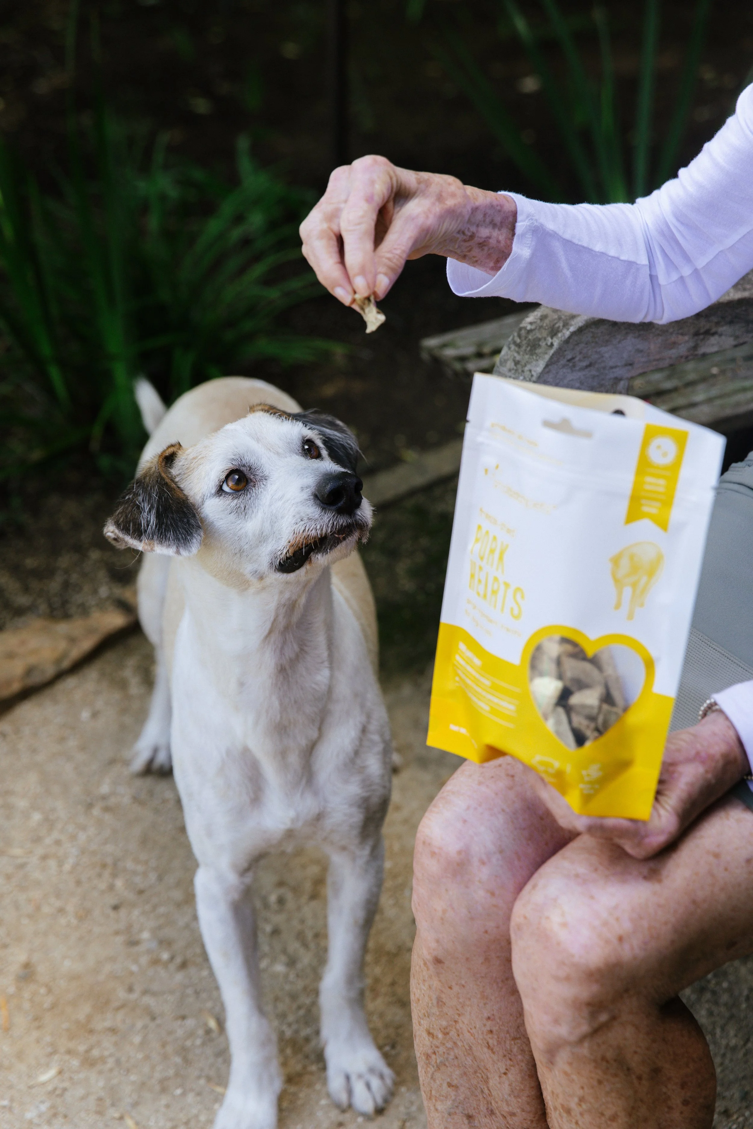 A person feeding a dog with a treat, holding a bag of dog snacks labeled 'Cork Hearts'.
