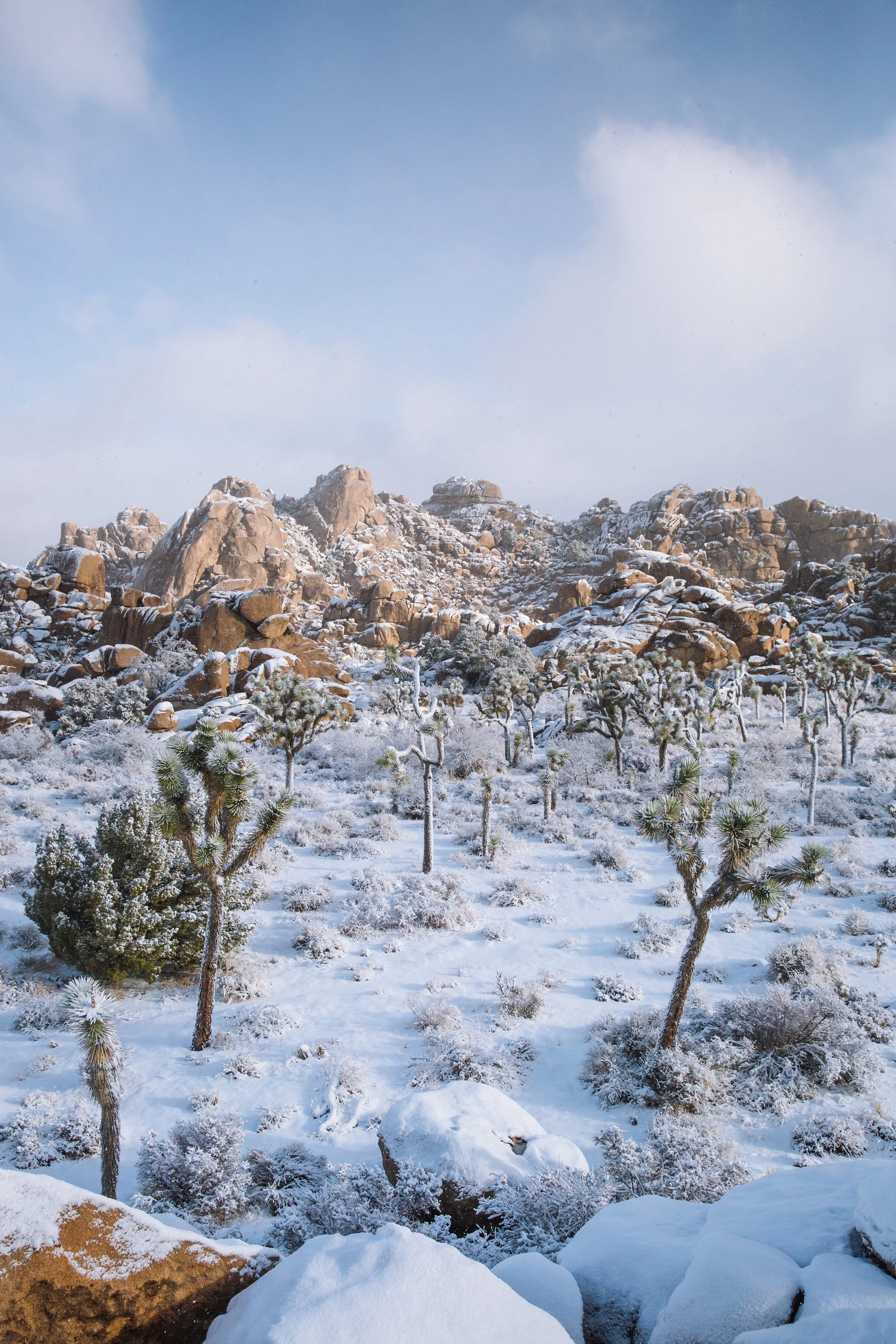 Snow-covered desert landscape with Joshua trees and rocky hills in the background under a partly cloudy sky.