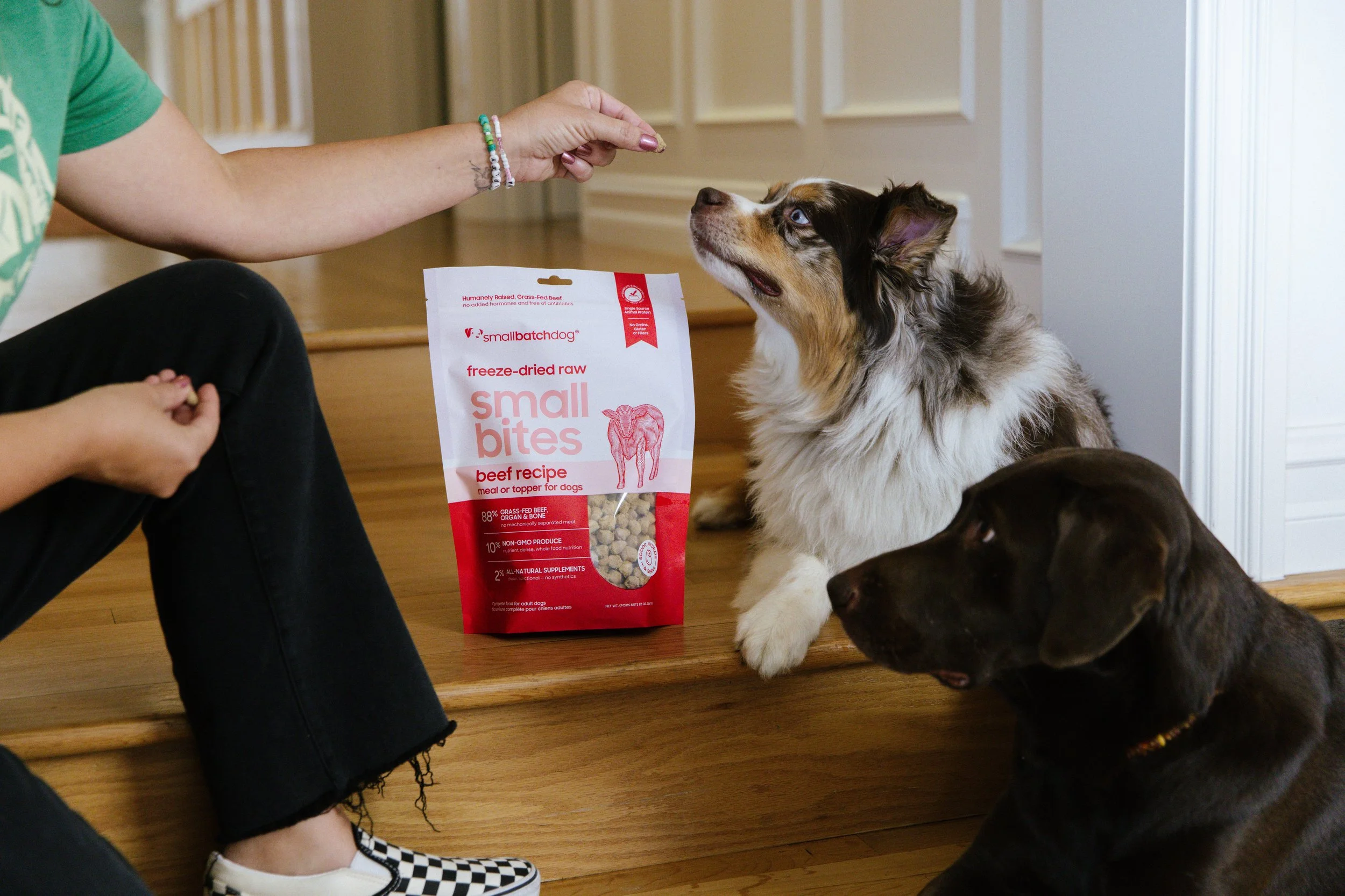 Person sitting on stairs with two dogs, one Australian Shepherd, and one chocolate Labrador Retriever, near a bag of Small Bites beef dog treats.