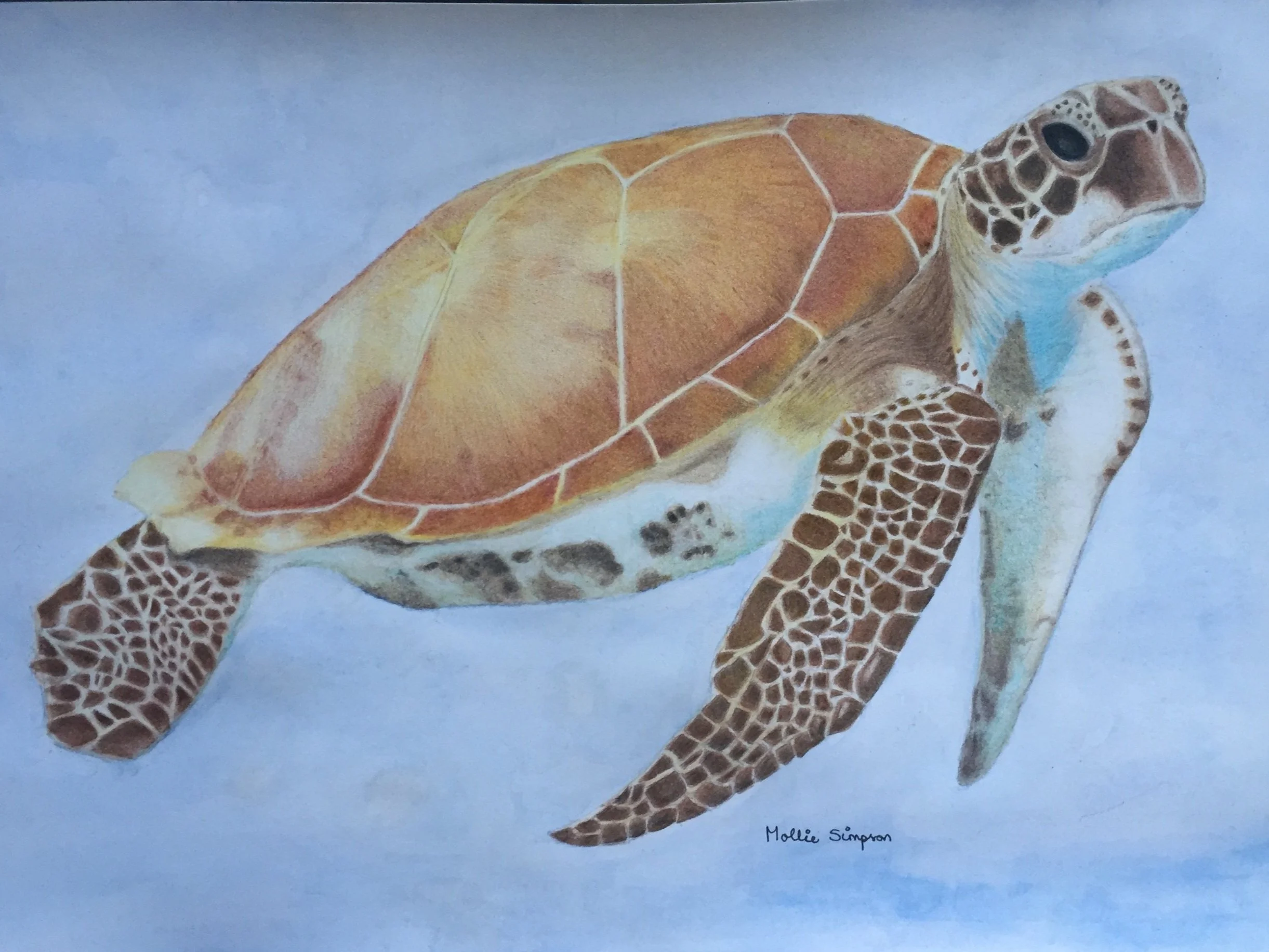 Just Floating.M. Simpson.jpg