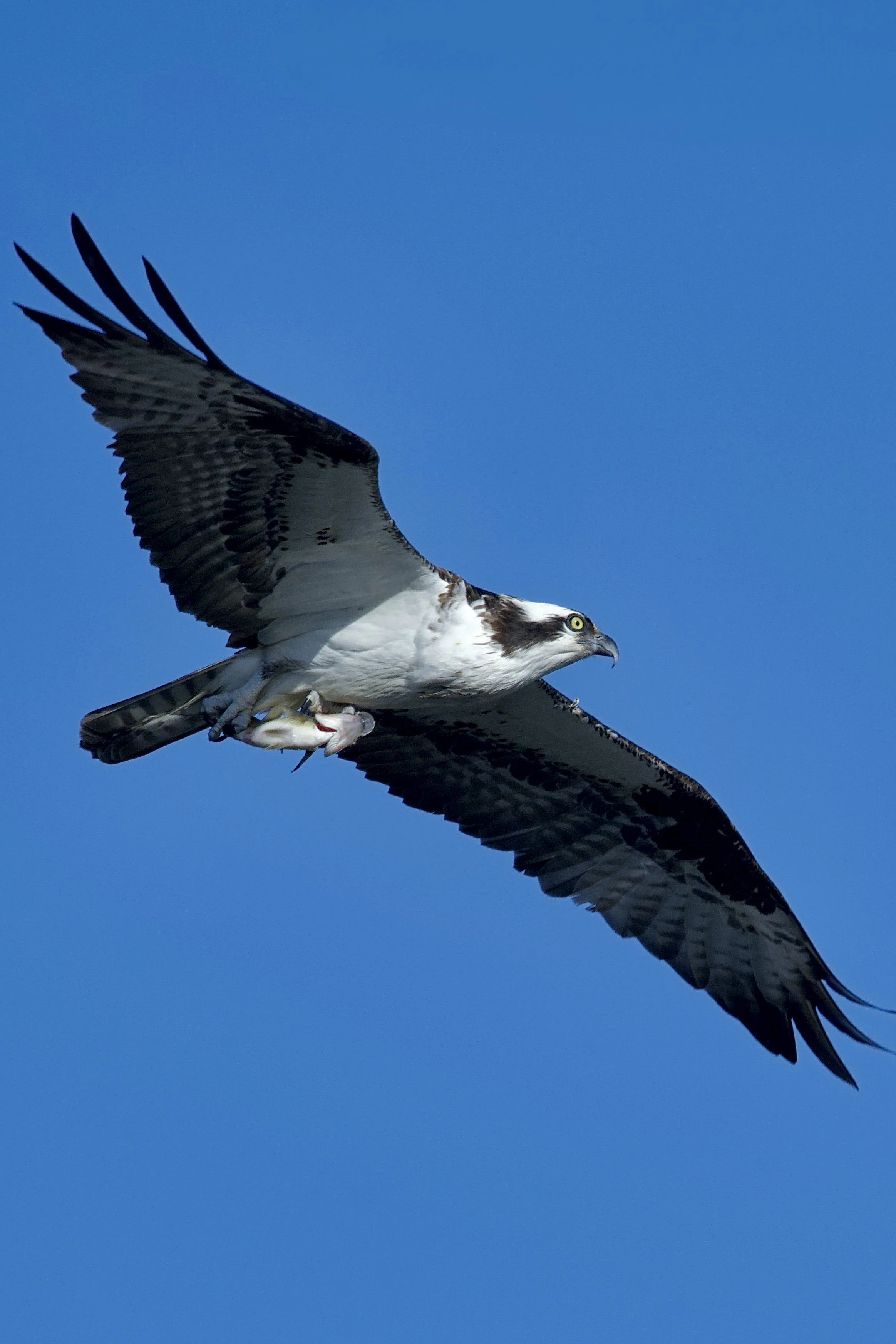 IMG_2718_polarr.jpg