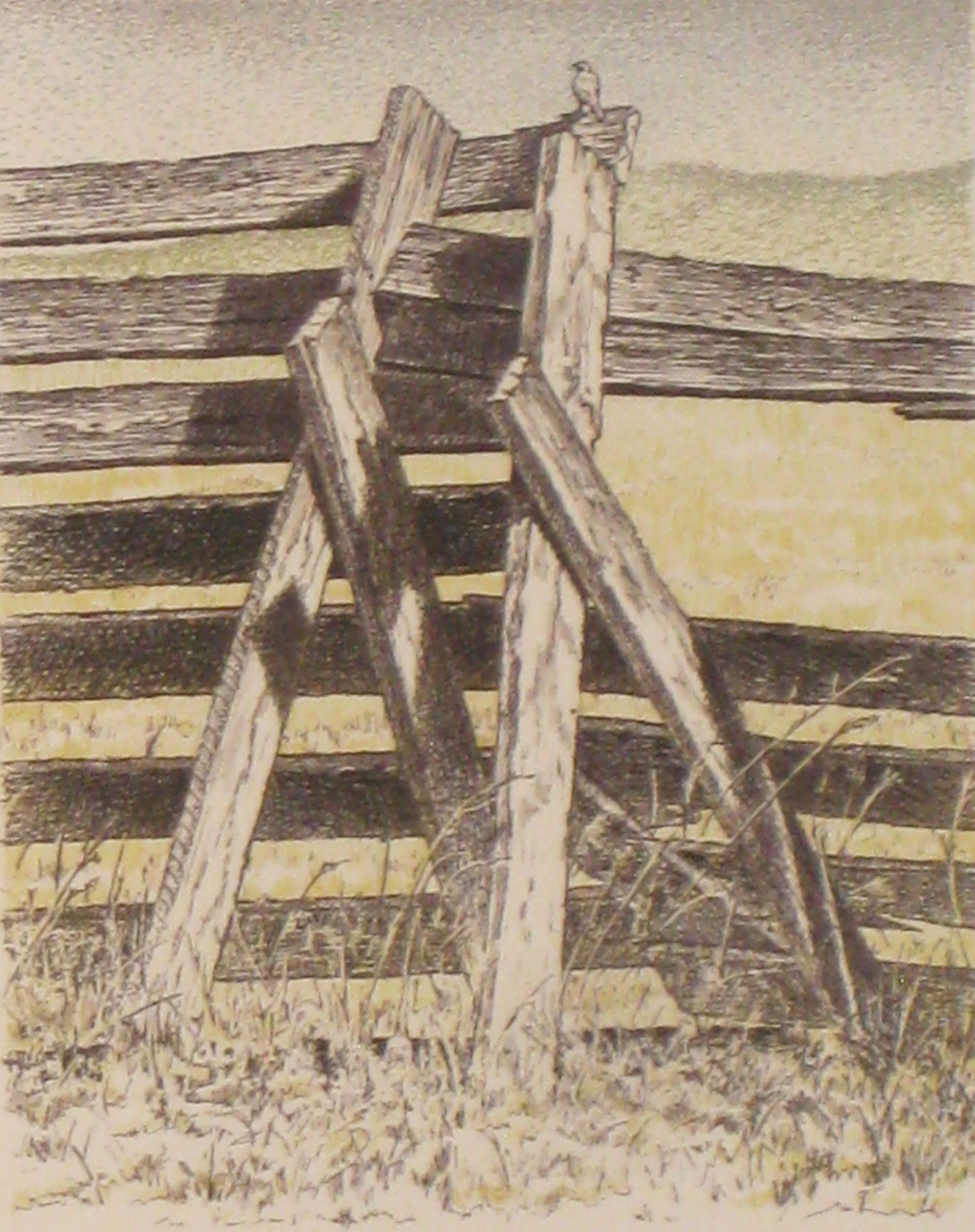 Sentinel.  Lithograph.  10 x 8 inches.  2024 by Jim Jereb