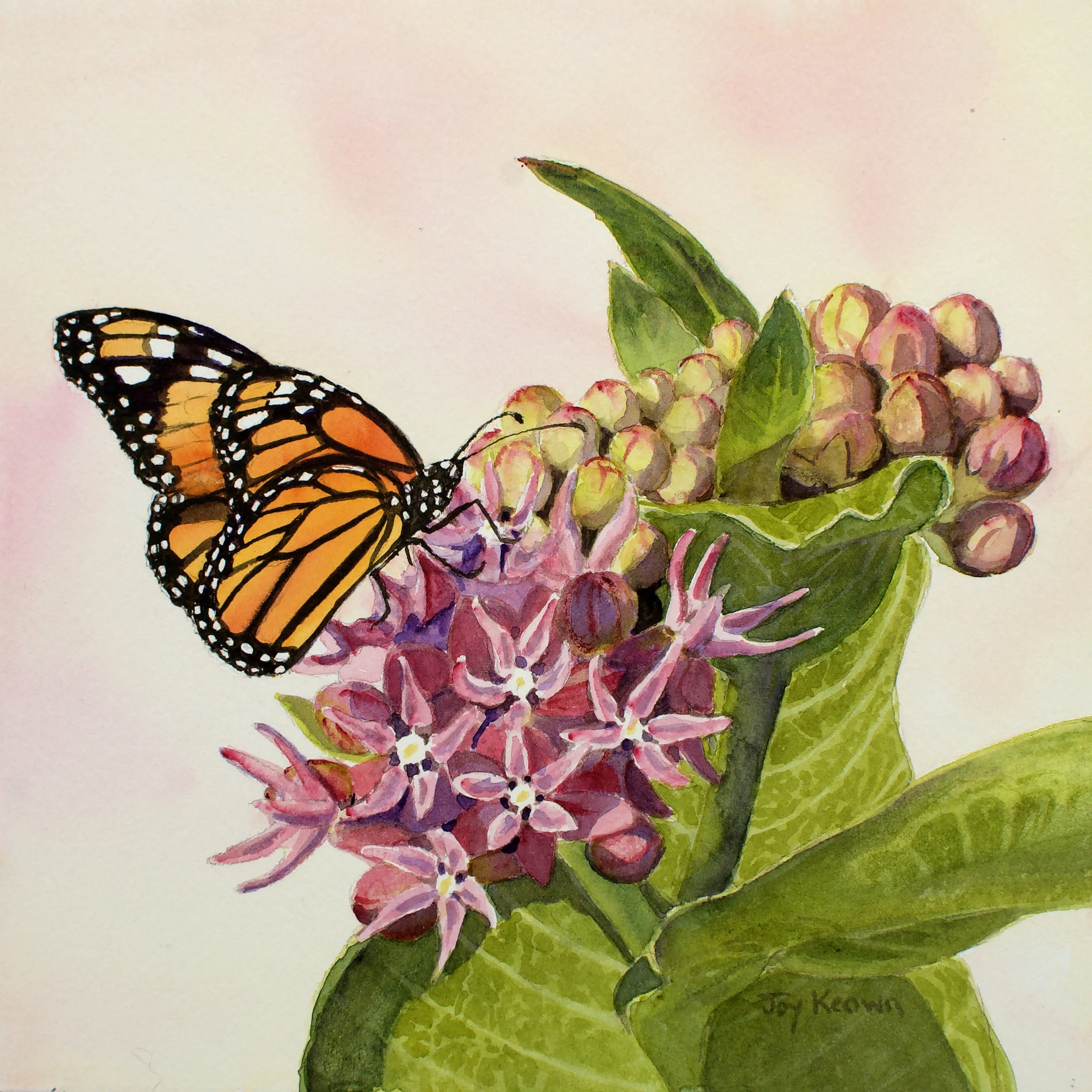 Monarch & Milkweed, 8x8", 2024, by Joy Keown