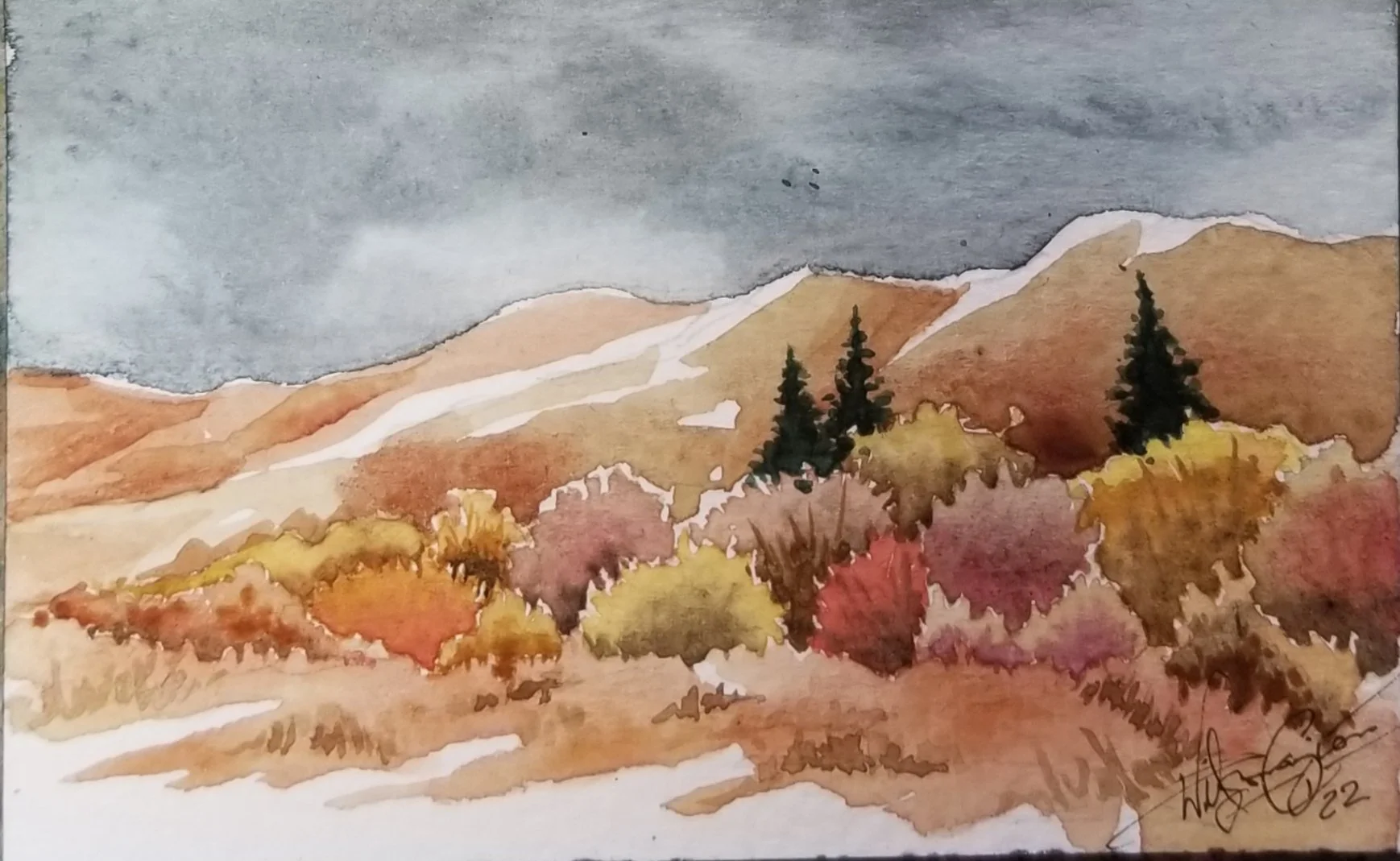 Willows in the Draw, watercolor, 8x10", 2025 by Paula J. Wilson-Caziér