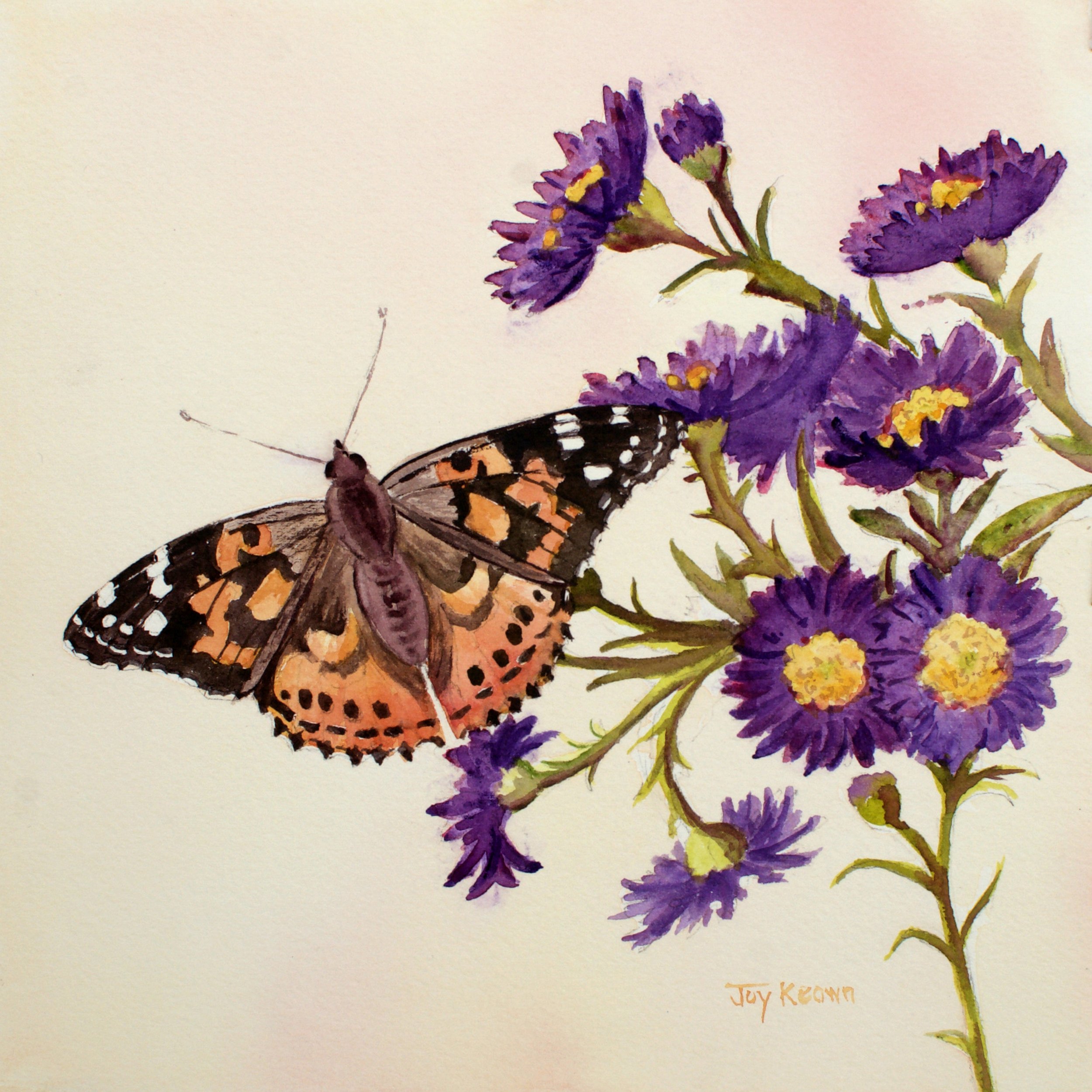 Painted Lady & Asters, 8x8", 2024, by Joy Keown