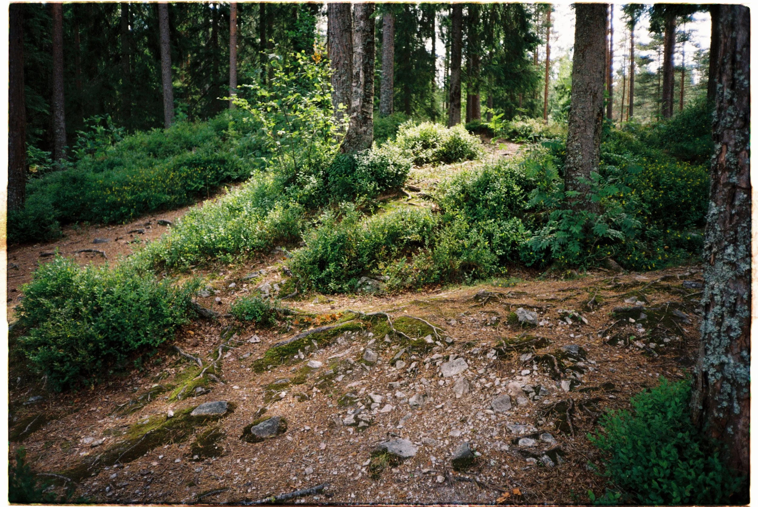 Stille