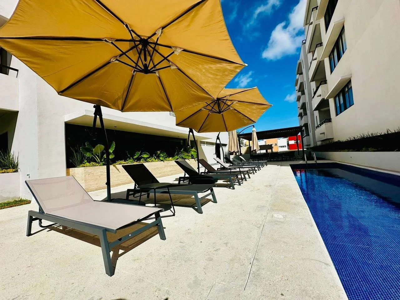 WhatsApp Image 2024-09-02 at 12.46.30 PM (6).jpeg