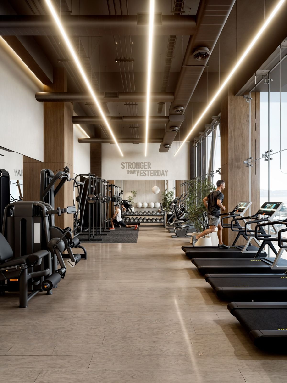 gym.jpeg