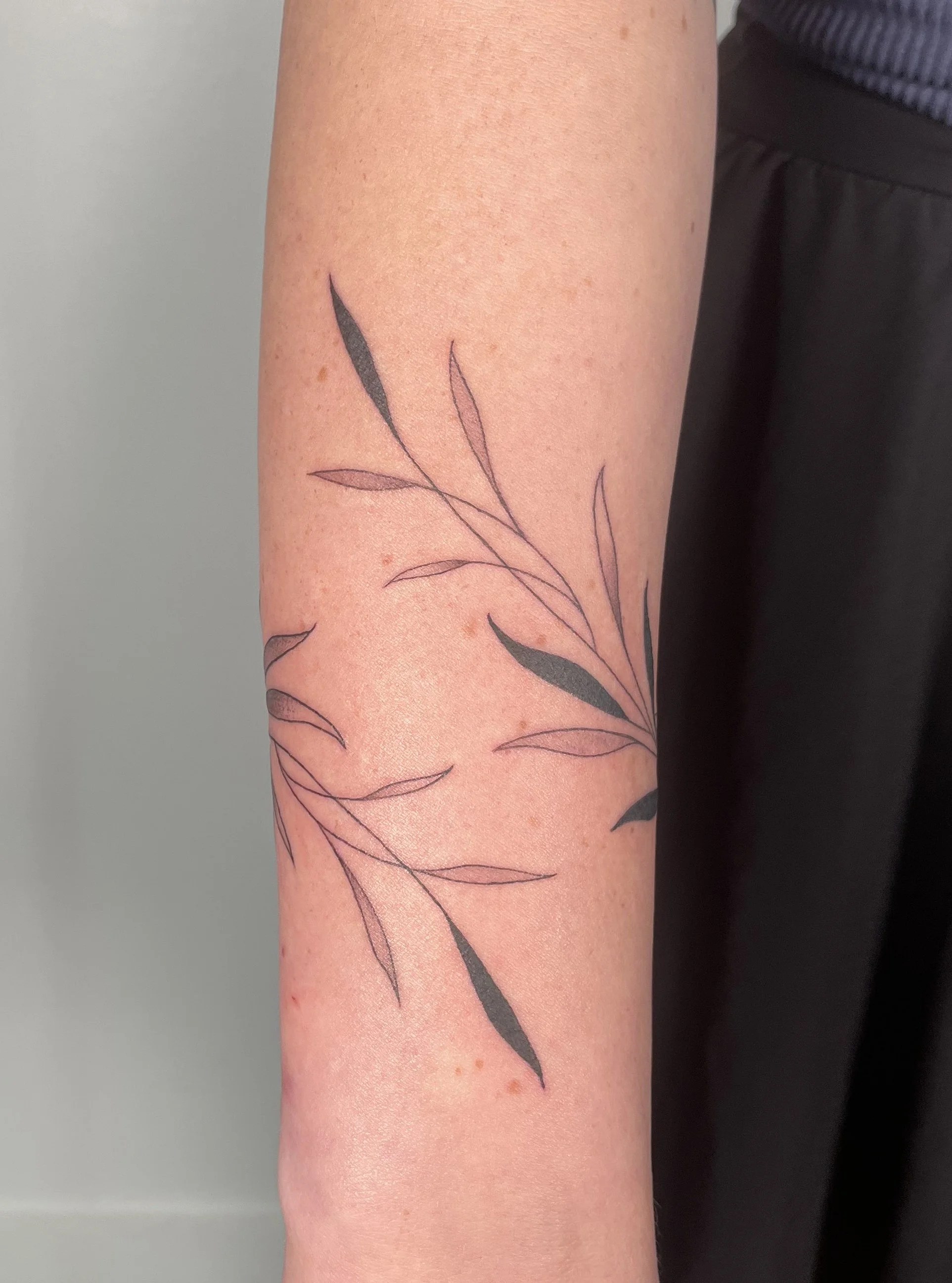 IMG_3132.jpeg