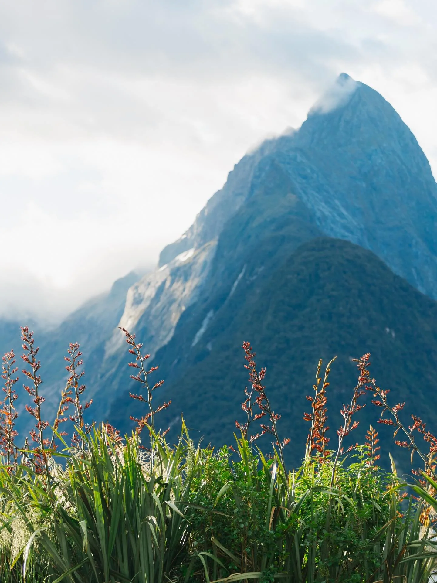 Six weeks exploring New Zealand&rsquo;s remote Fiordland&hellip; a wilderness of glacially carved valleys, jagged peaks, and waterfalls tumbling from every mountain side.

From the sheer cliffs of Milford Sound to the tranquil reflections of Breaksea