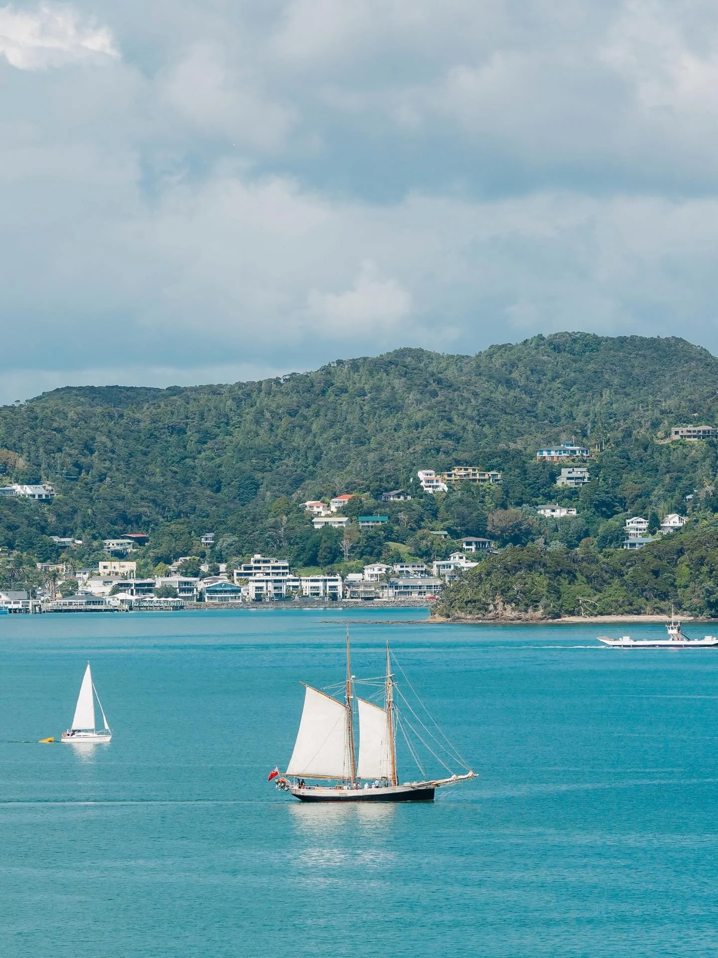 A month on New Zealand&rsquo;s North Island filled with ancient kauri forests, volcanic skylines, vineyards by the sea, islands wrapped in quiet&hellip; every corner has felt like its own little world.

From the quaint seaside towns in Bay of Islands