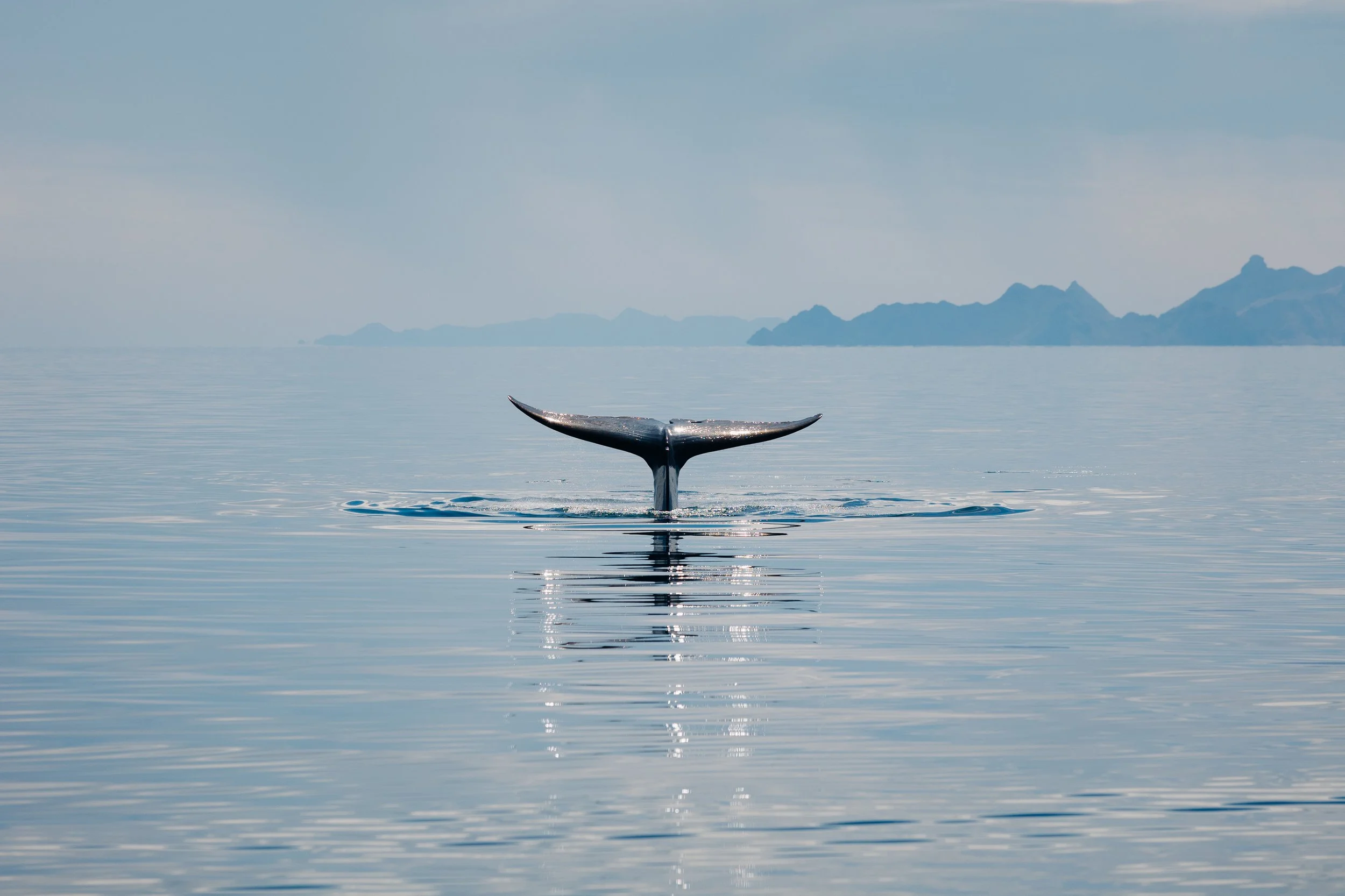 The Inland Ocean: Wandering Loreto and the Islands Beyond