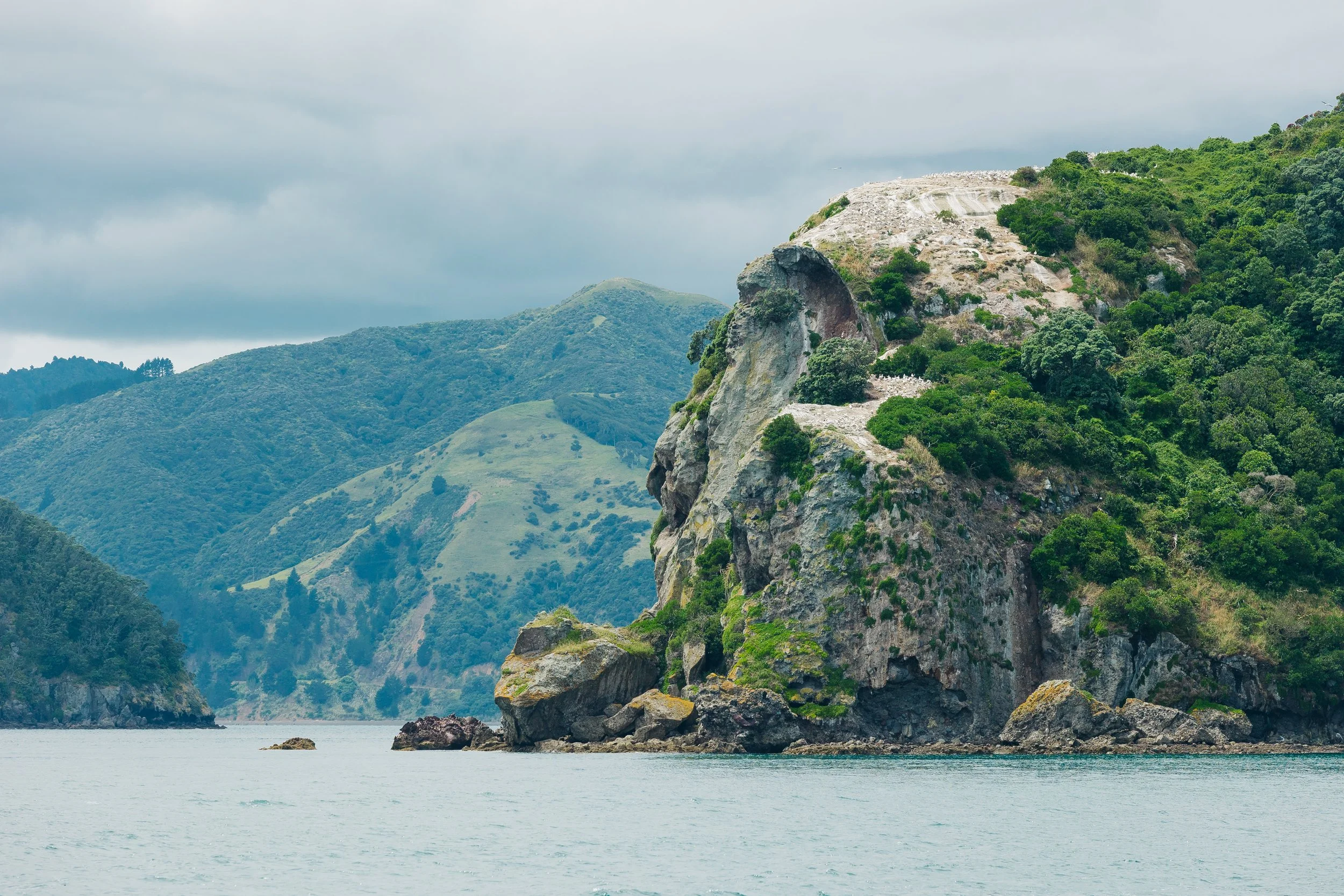 Questscapes_NZ-9586.jpg