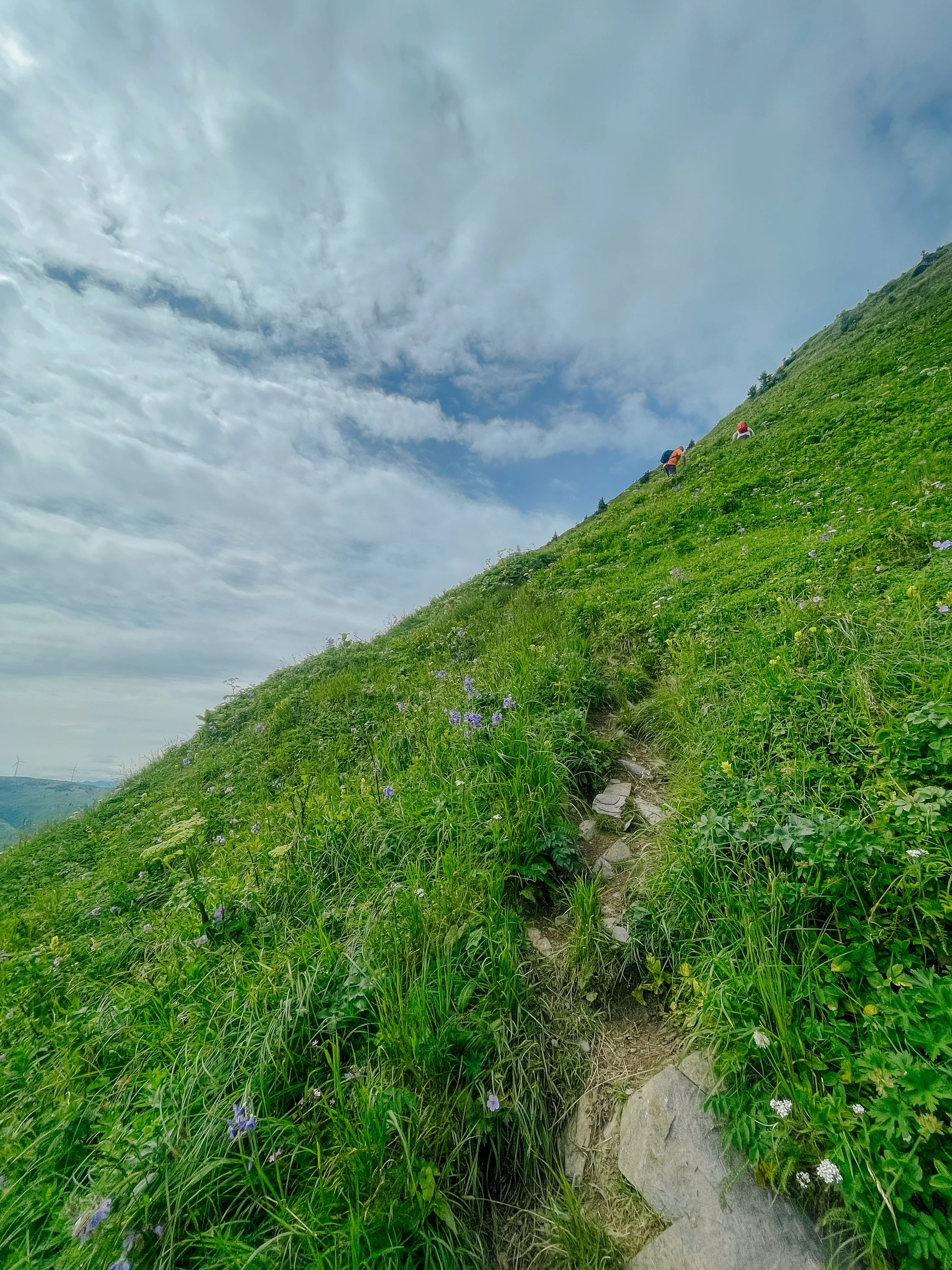 Three Sisters Trail on Kodiak Island, Alaska