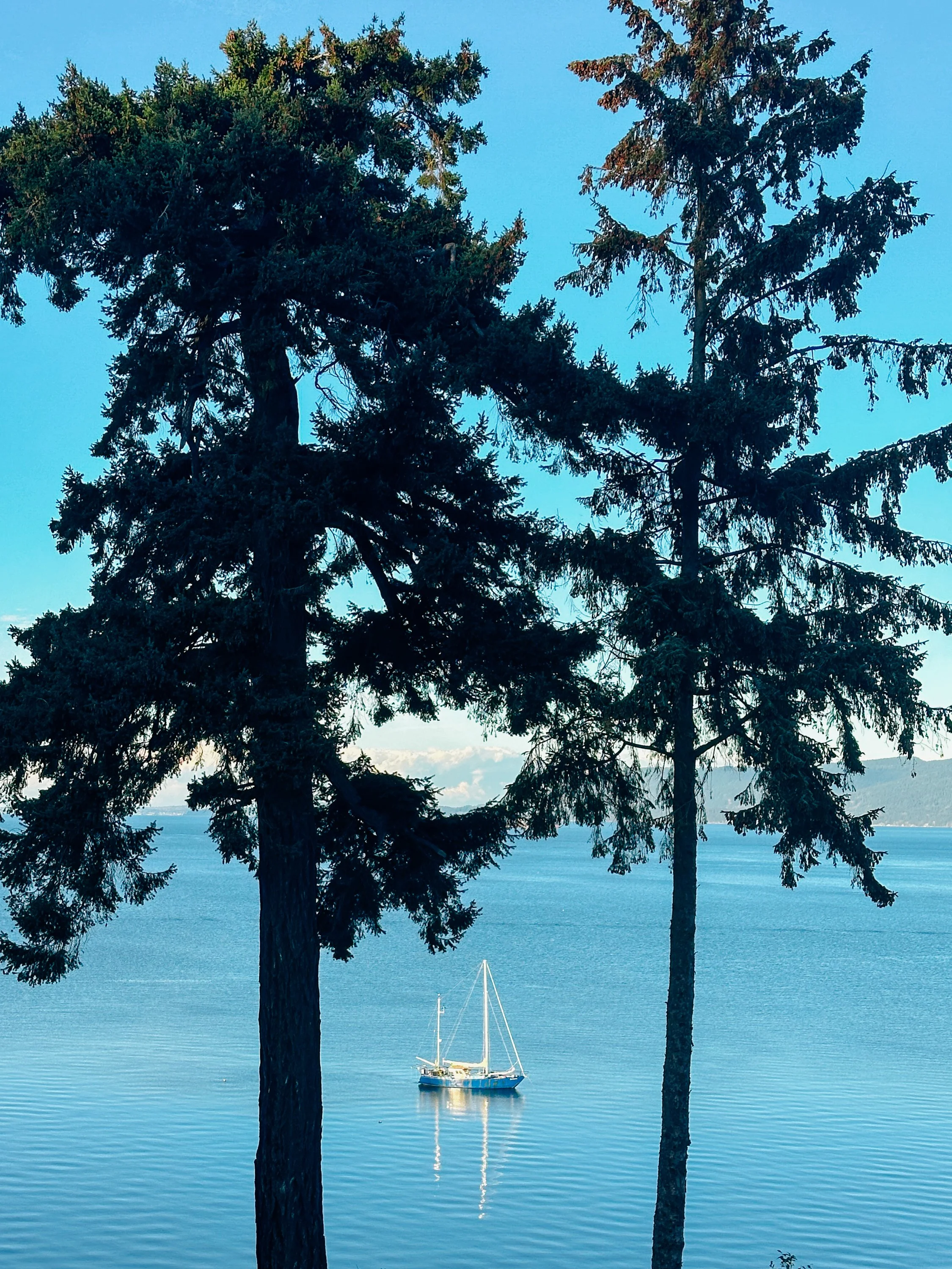 arcturus sailing around the world