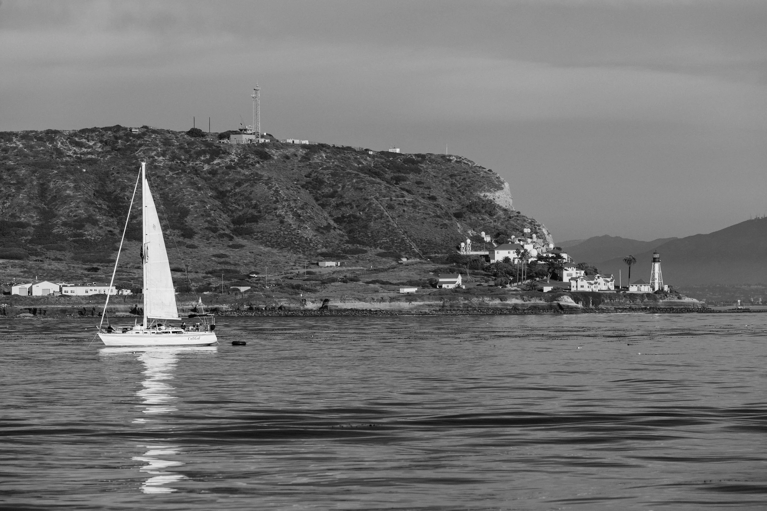 Black and White Sailing into San Diego Bay