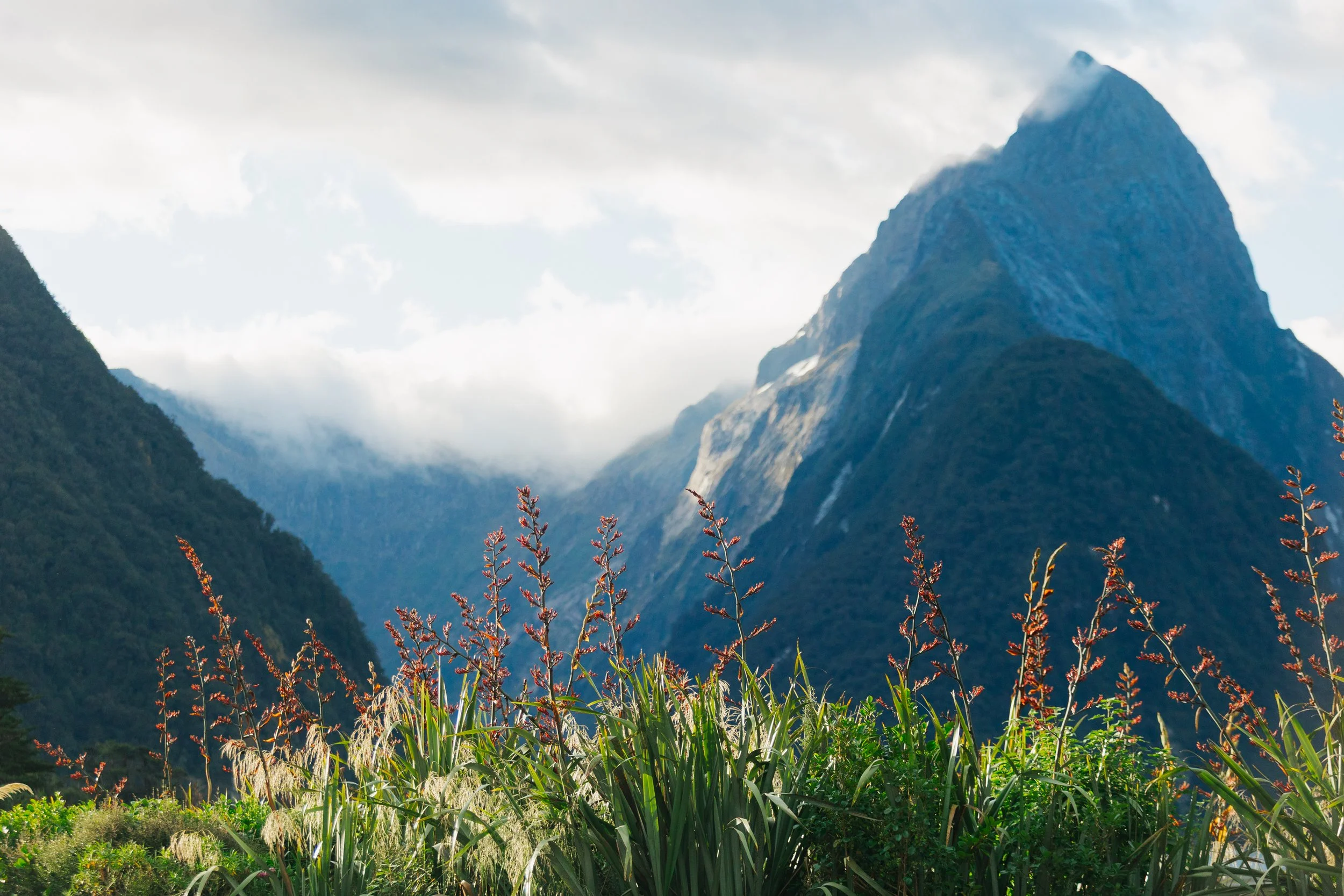 Mountain landscape with greenery in the foreground and a cloudy sky.