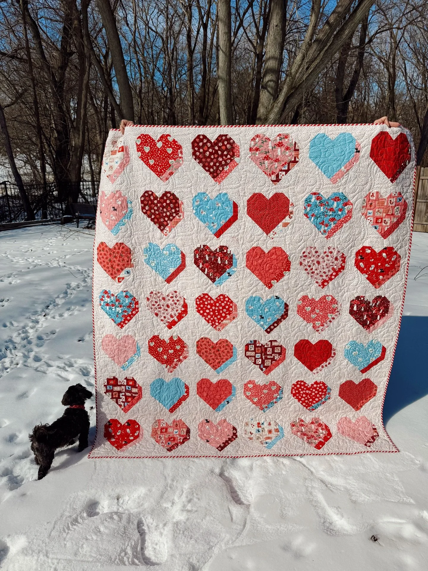 Here&rsquo;s a full shot of this playful and fun quilt. And the details&hellip;that striped binding couldn&rsquo;t be more perfect to frame it all. 

Pieced by: @read.quilt.roam 
Fabric: Funny Valentine by @lizzyhousestudio for @modafabrics 
Pattern: