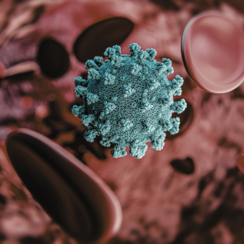 Close-up of a blue virus particle among red blood cells in a blood vessel.