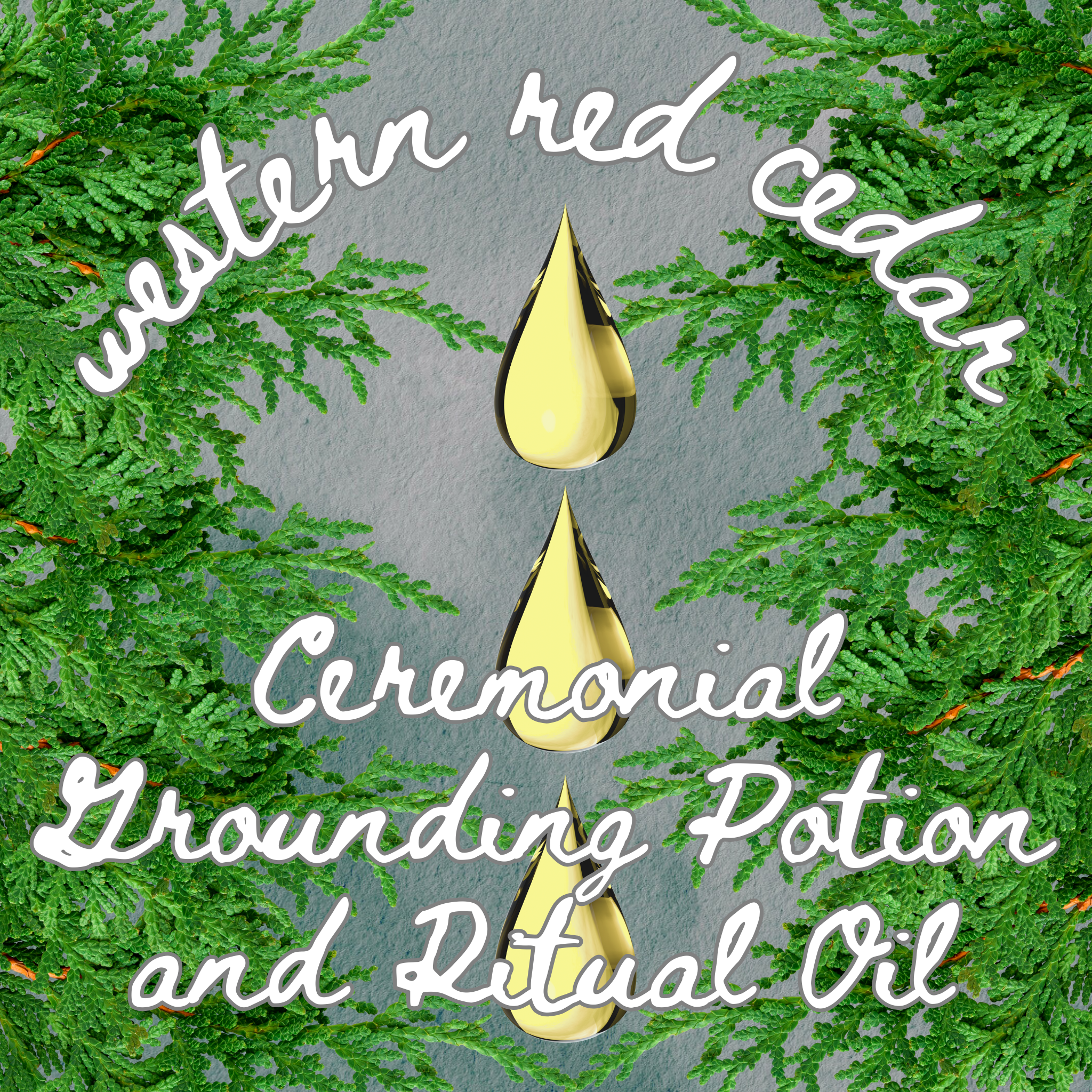 westernredcedar_groundingpotion_websiteupdt.png
