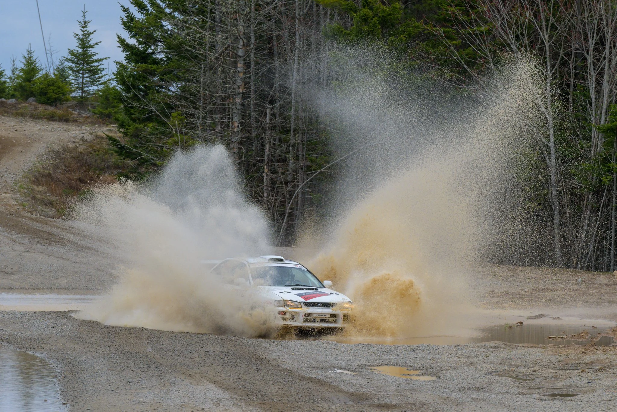 JZ9_0529.jpg