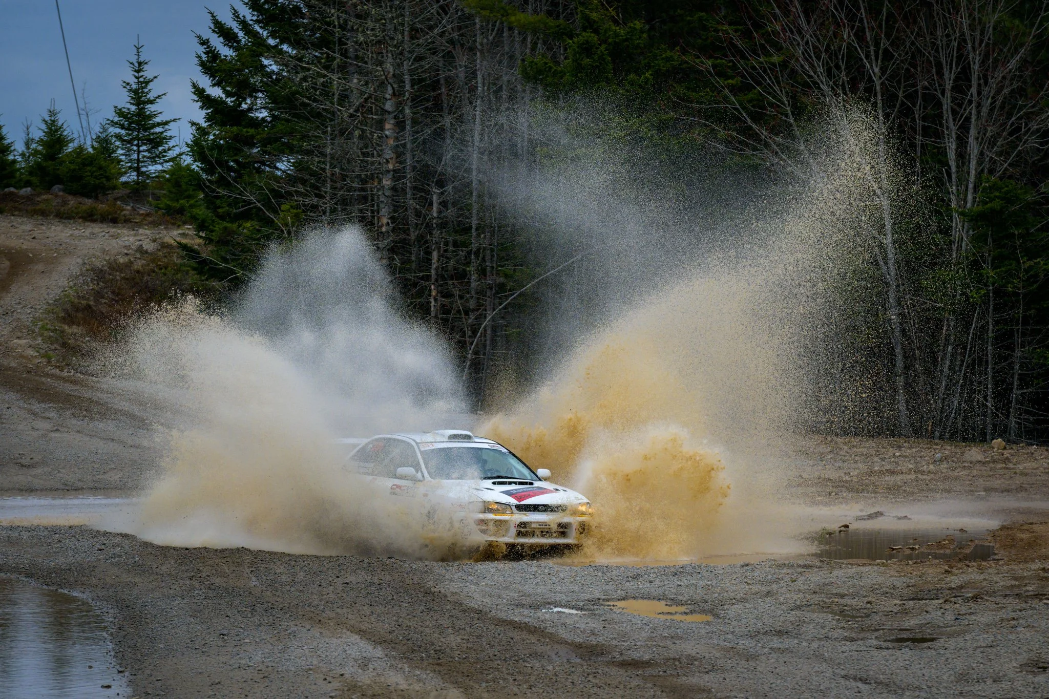 JZ9_0530.jpg