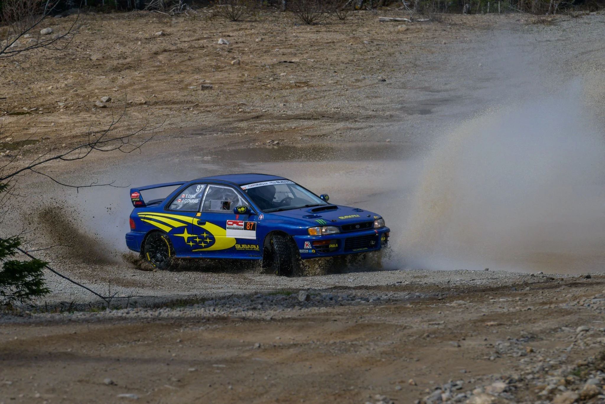 JZ9_9195.jpg