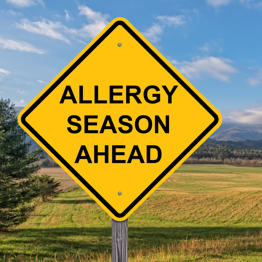 Alleviate Summer Allergies with Laser Therapy &amp; Supplements We Recommend