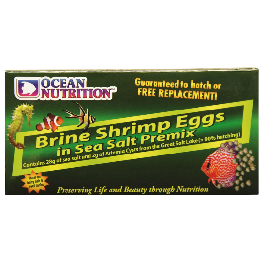 Brine+Shrimp+Eggs+%28In+Sea+Salt+Premix%29.png