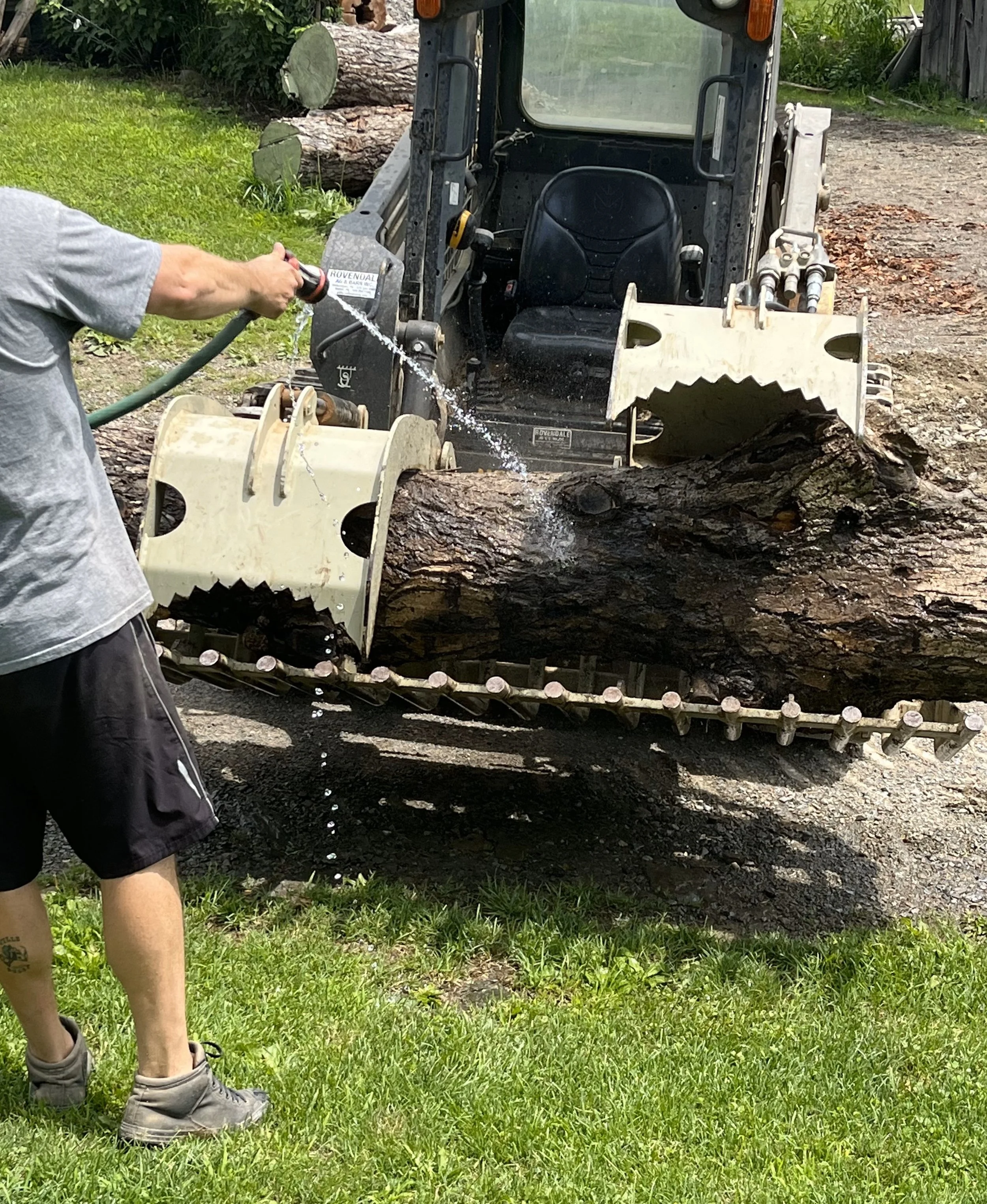 Hosing down the log.jpeg