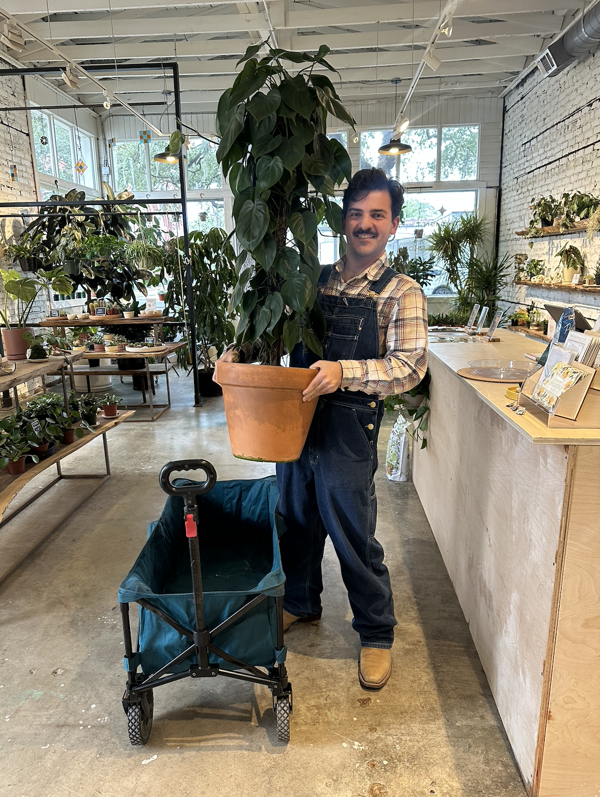 plant lover savannah.png