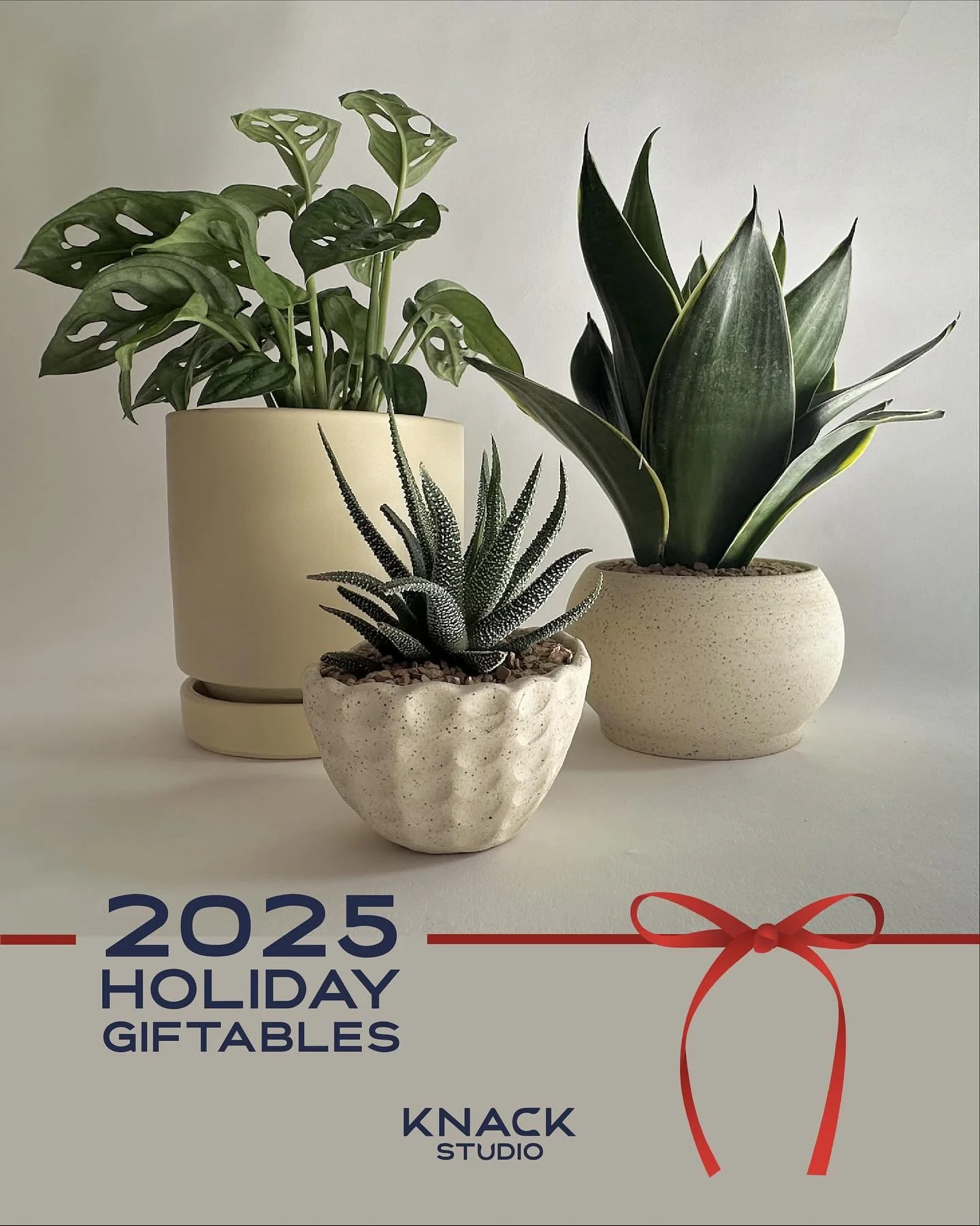 ✨Holiday Gifting, but make it local.✨

New! We&rsquo;ve put together three easy giftables for your team, office, or clients &mdash; each one designed and potted right here at Knack Studio C.

Perfect for orders of 15-30! 

🌱 The Mini &mdash; $30
Han