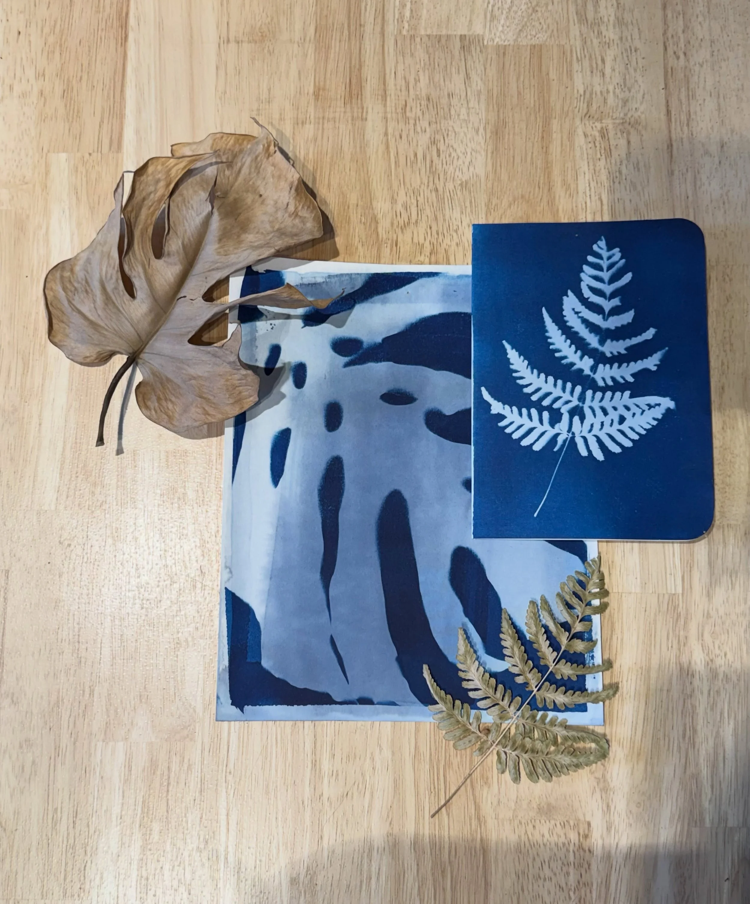 Eyooo! After a long, wild summer, our walk-in experiences are officially BACK! 🥳

Drop in any time during shop hours or reserve a spot online! 

Cyanotype Print Goods 💙 
- Choose from pre-treated 5x7 greeting cards and 8x10 prints. We'll have dried