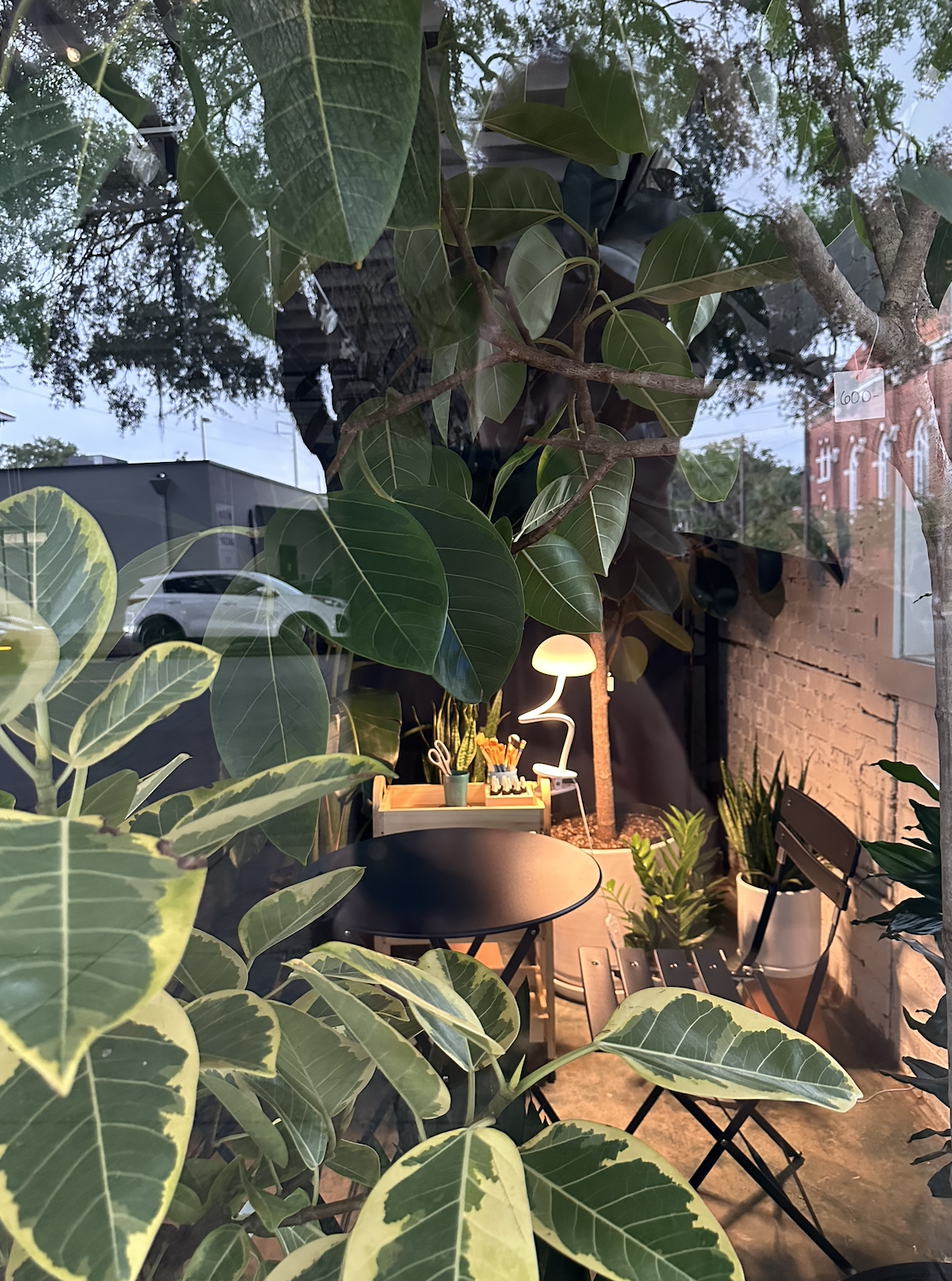 creative plant experience savannah.png