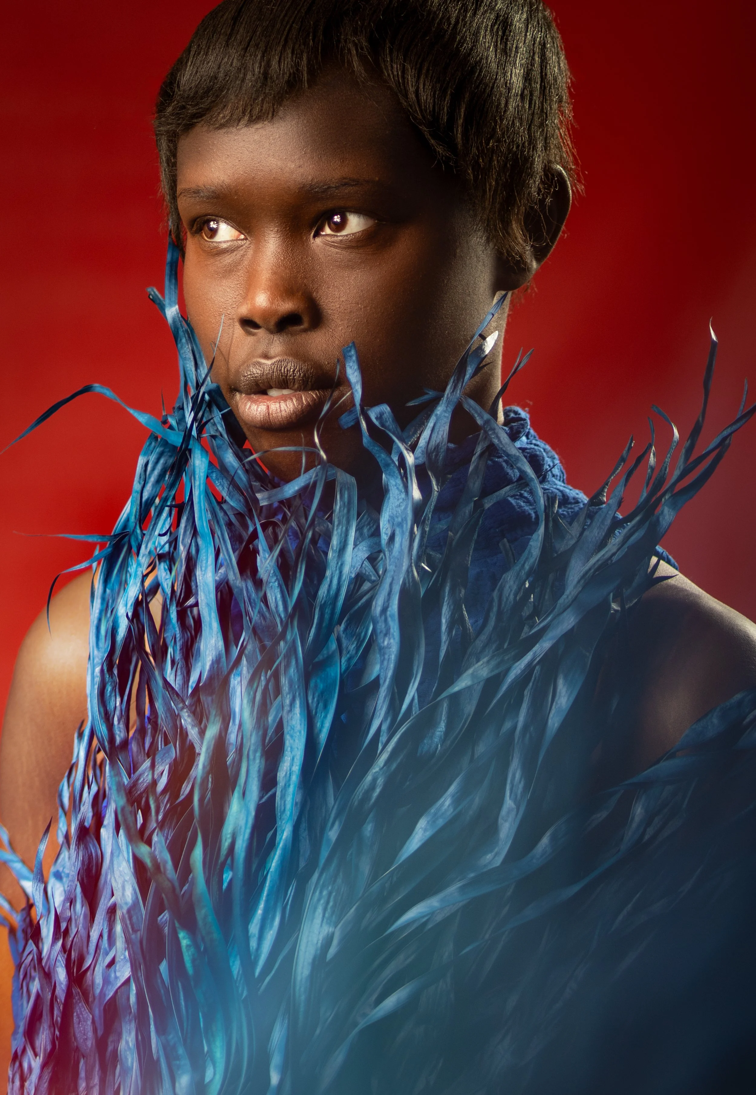 Blue Grass Fronds 1.jpg