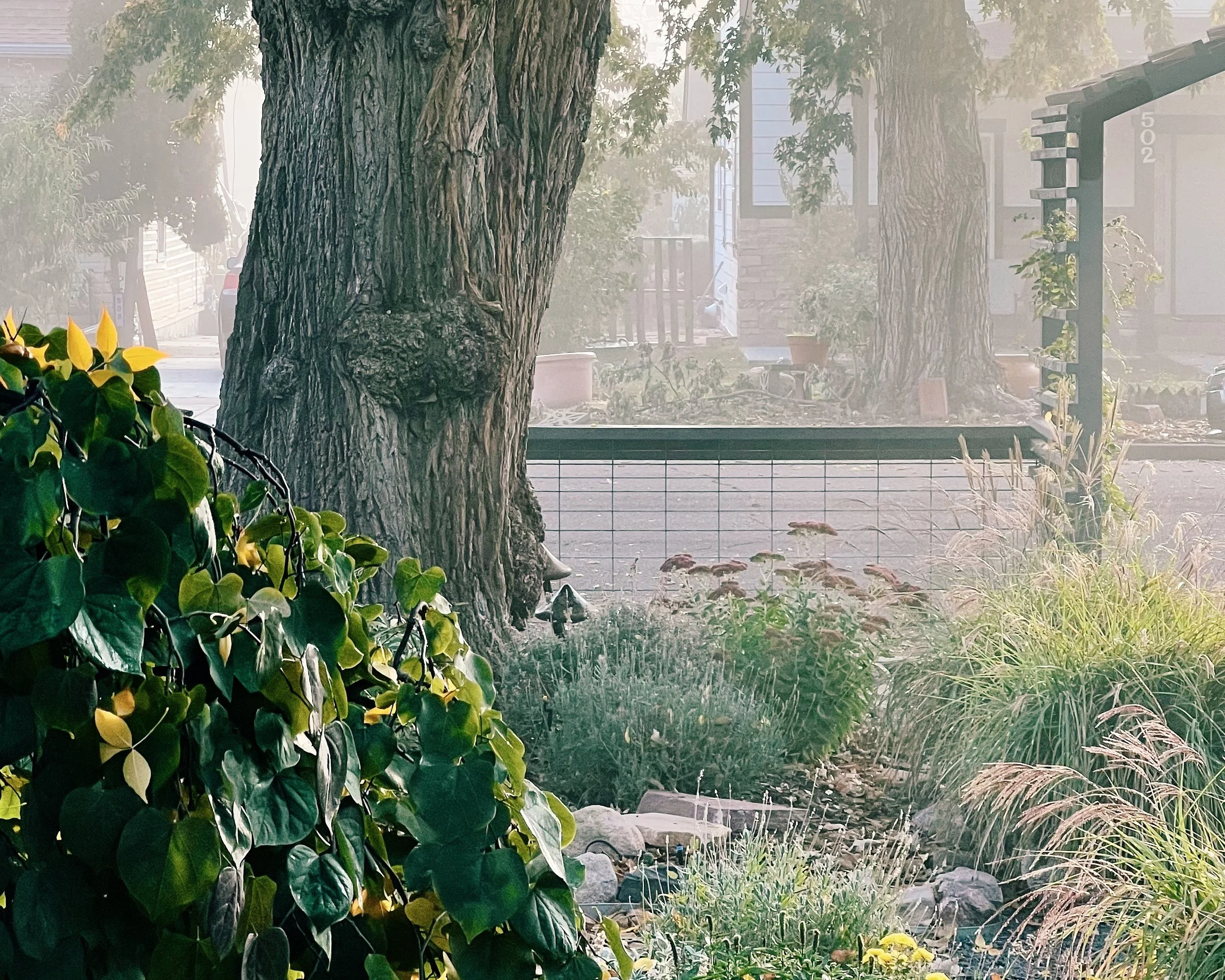 Dear Laura: Has ‘struggling’ changed from generation to generation, and what’s comparison got to do with it?