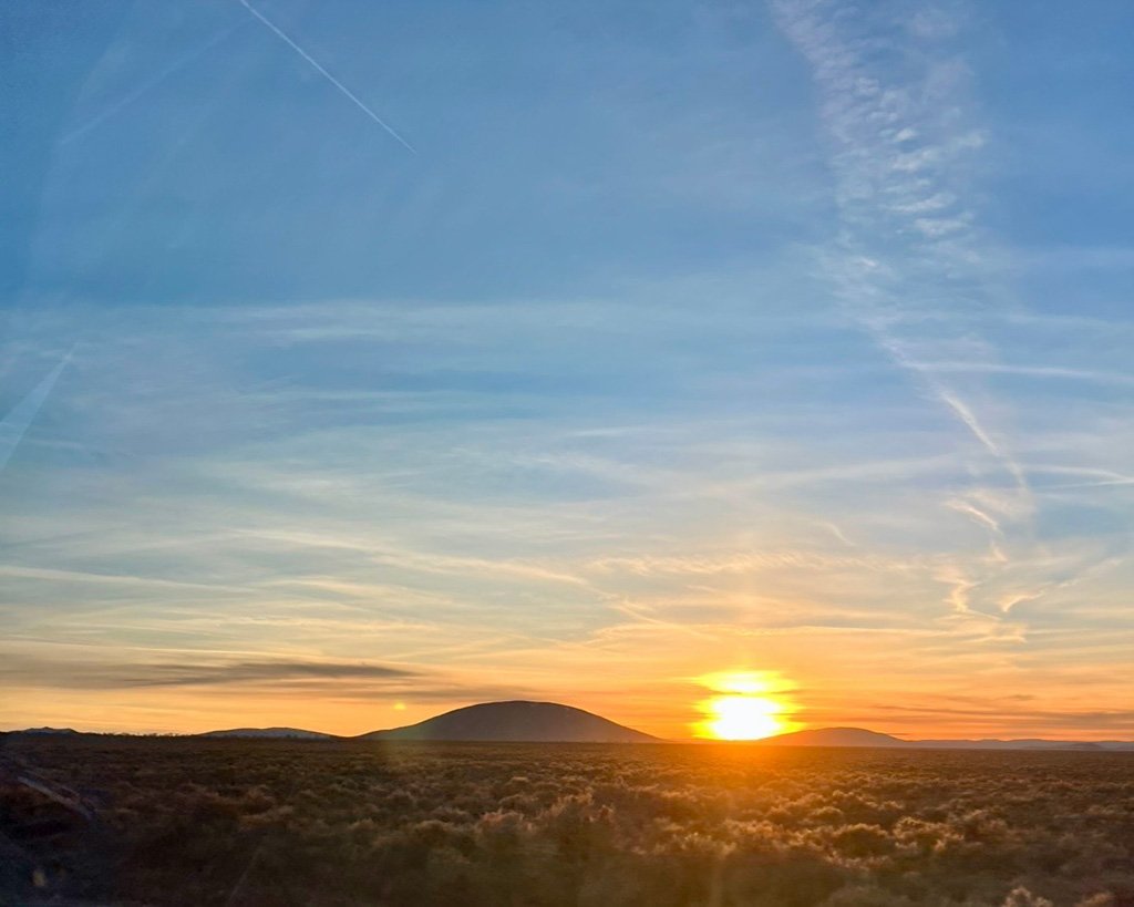 Dear Laura: Seeking Solace returns to share his insights six months later