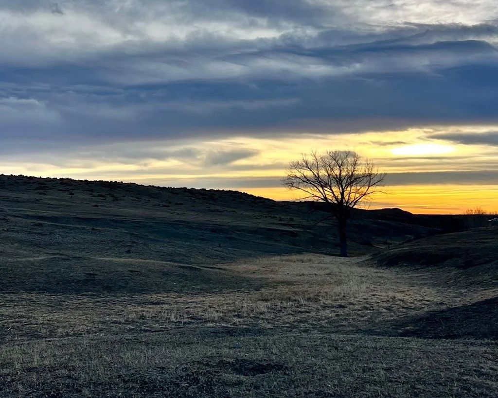 Dear Laura: I’m considering taking a GLP-1 but I’m afraid of the judgment of others