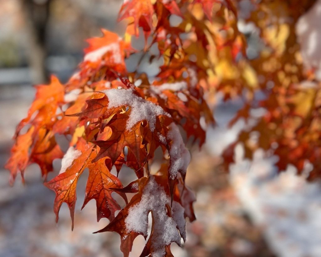 Dear Laura: I’ve just been diagnosed with breast cancer. How do I live with this news without spiraling?