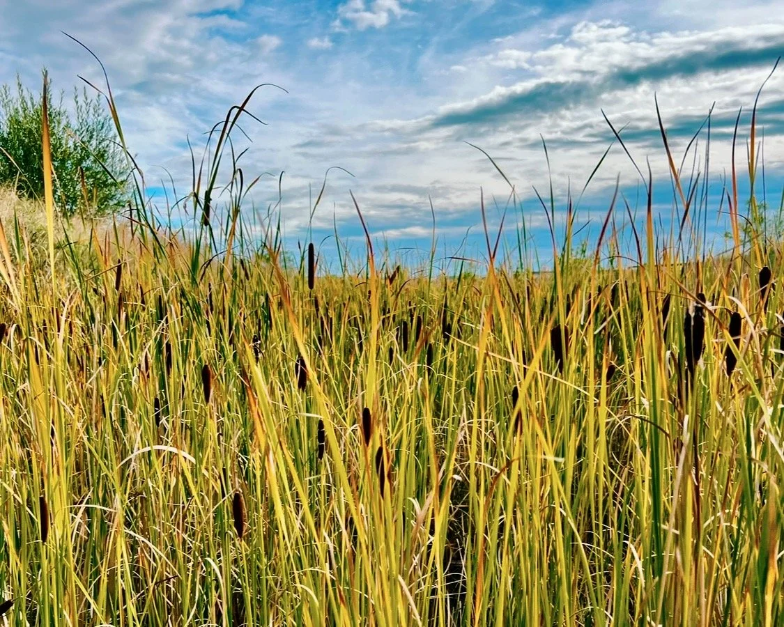 Dear Laura: I worry that my coworkers don’t like me. Is this normal?