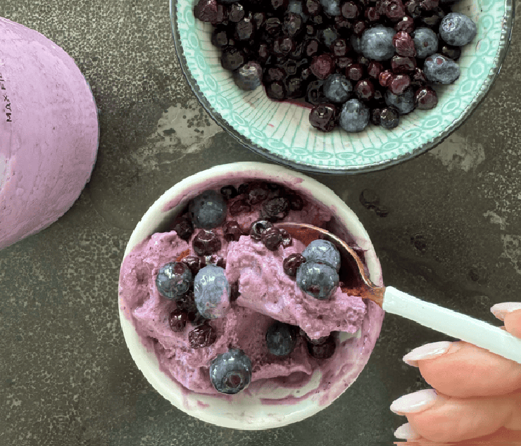 Blueberry Frozen Yogurt