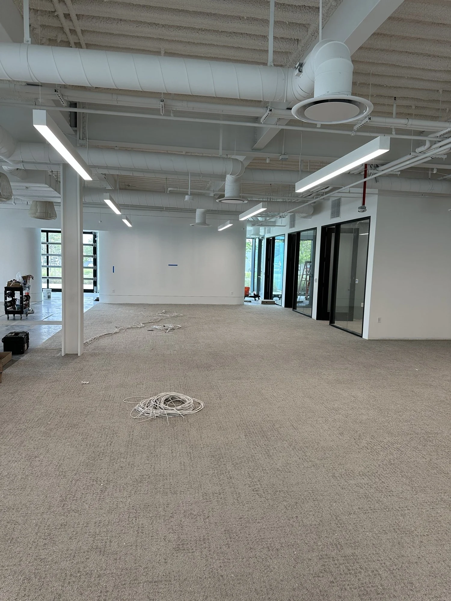 99D90864-5DF9-40BA-902E-440F11C680D4 (1).jpeg