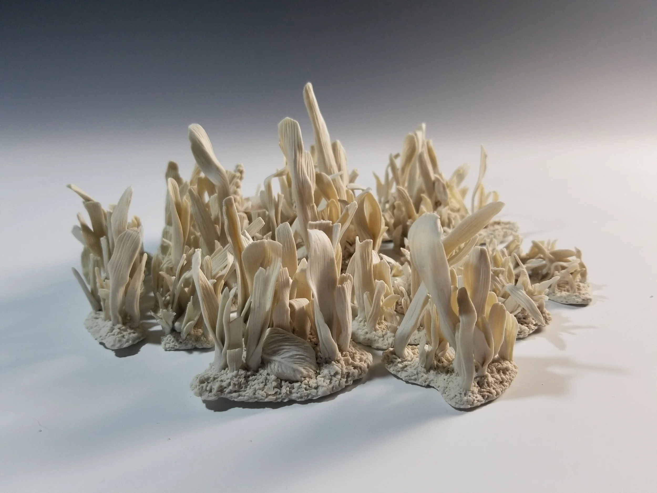 a stranger's eulogy 4.jpg